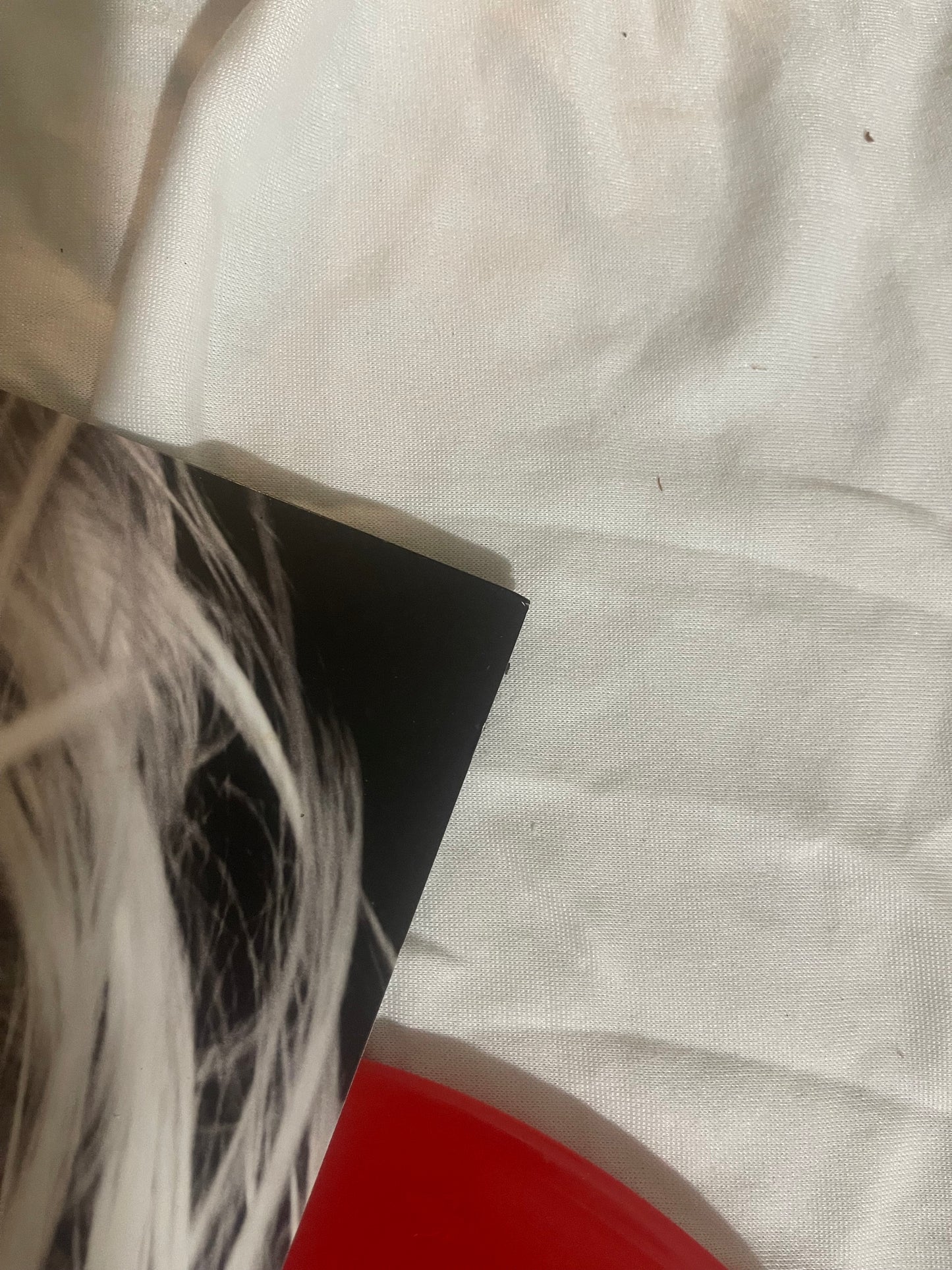 Lady Gaga - Born This Way (Urban Outfitters Exclusive red vinyl)