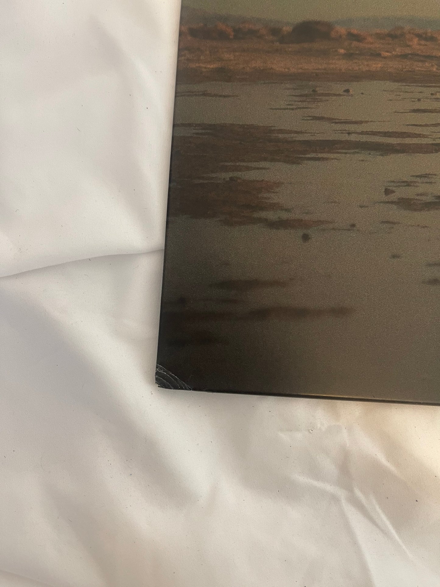 Phoebe Bridgers - Copycat Killer (Webstore exclusive Spit vinyl)