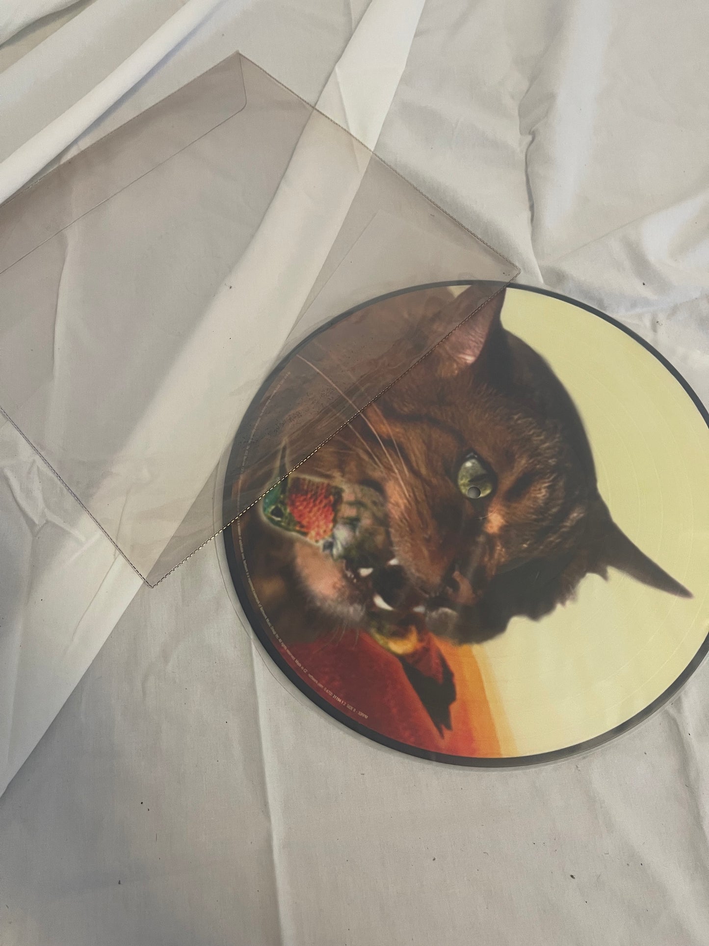 Guster - The Meowstro Sings: Keep It Together (limited edition picture disc vinyl)
