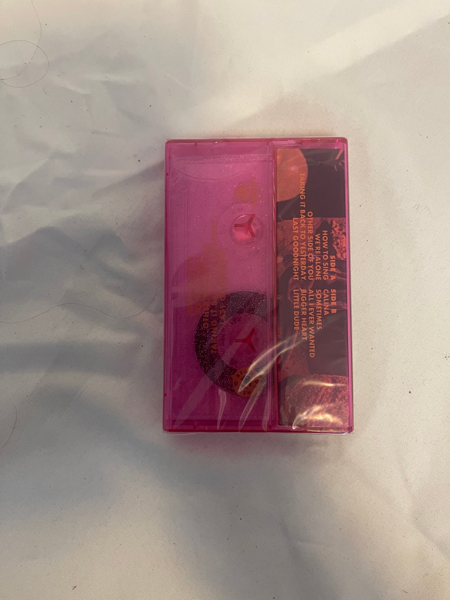 Sam Means - 10 Songs (cassette)