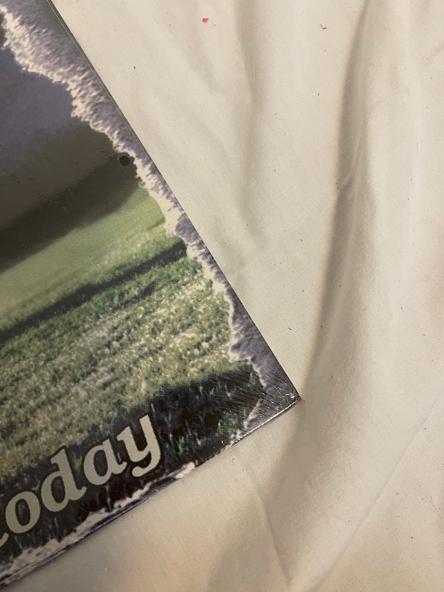 Grey Daze - …No Sun Today (webstore exclusive clear with purple smoke vinyl)