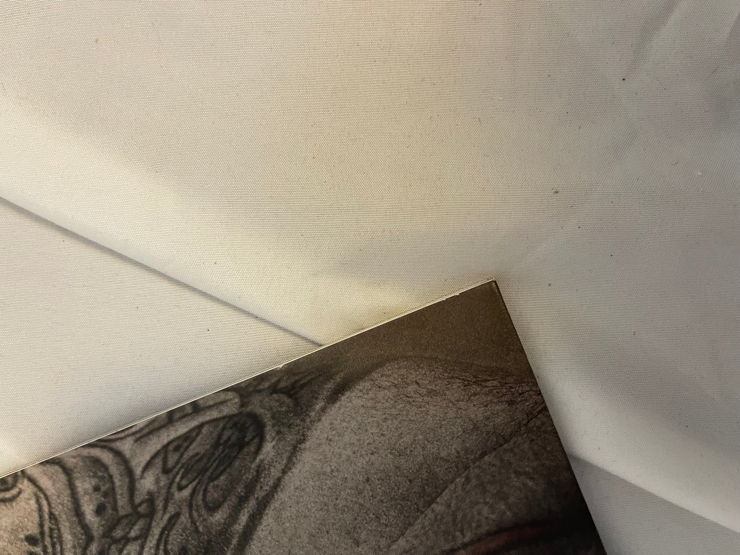 Grey Daze - The Phoenix (exclusive “Phoenix flame deluxe edition vinyl/CD set)