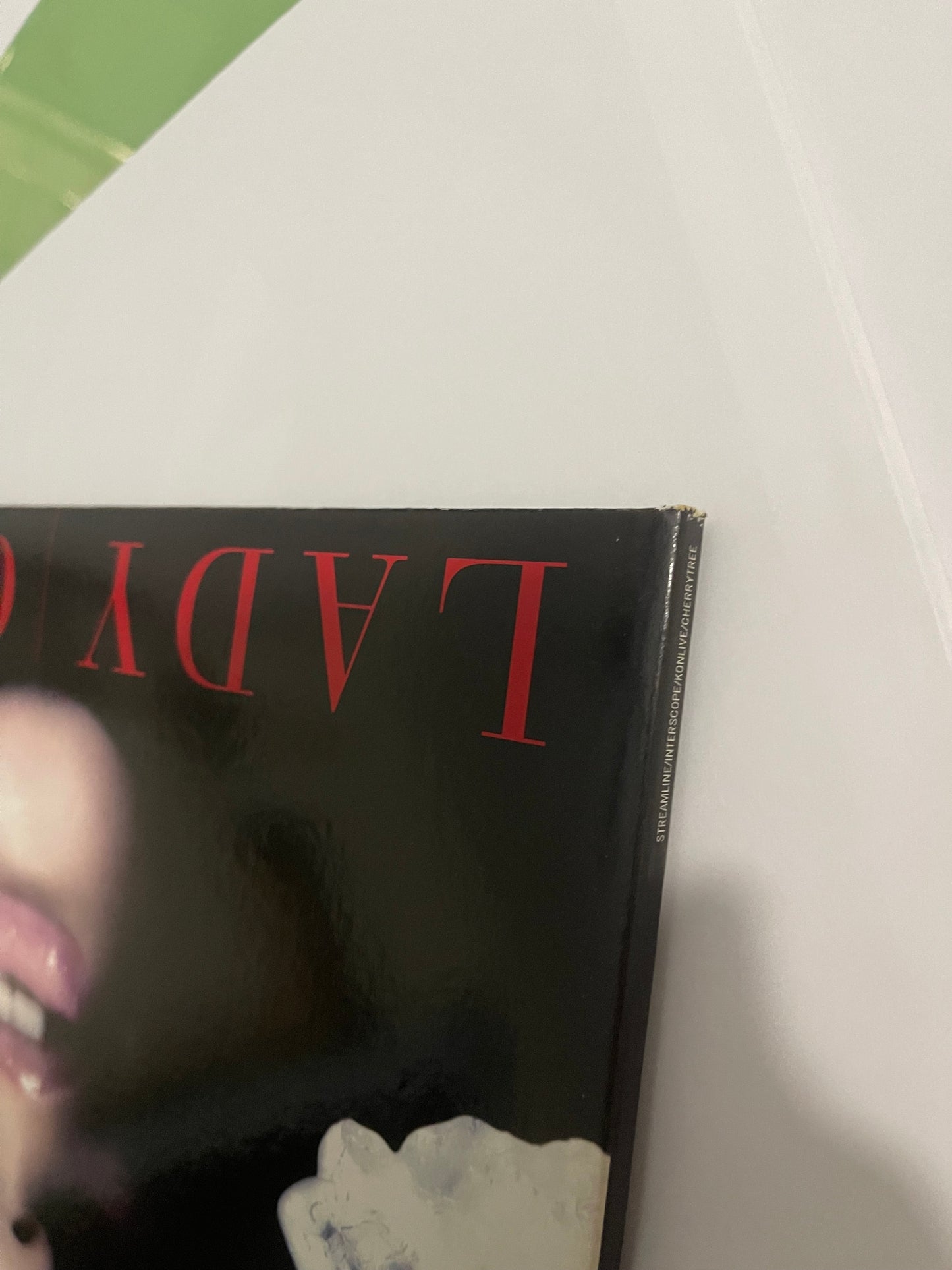 Lady Gaga - The Fame Monster (Urban Outfitters exclusive vinyl box set)