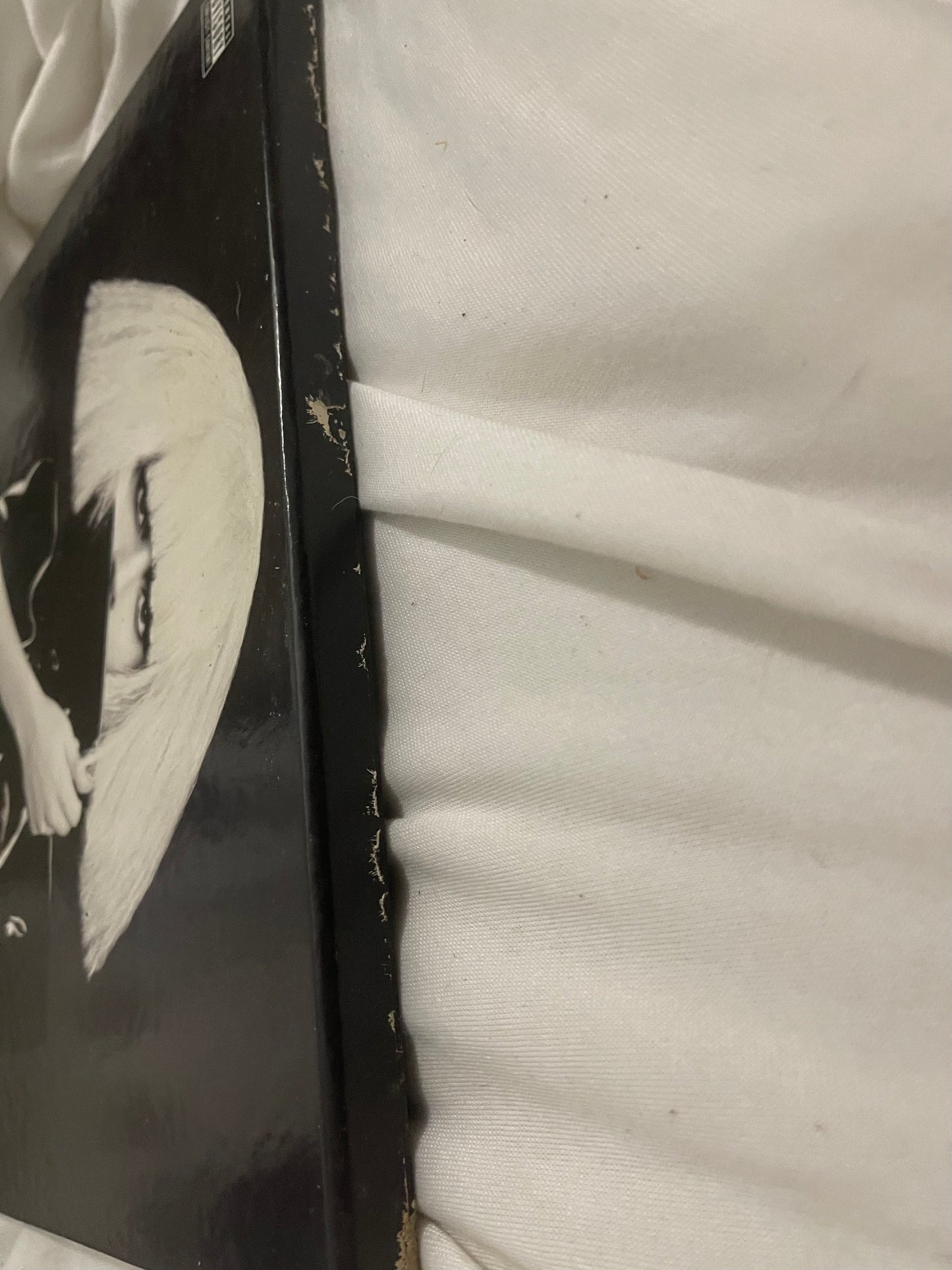 Lady Gaga - The Fame Monster (Urban Outfitters exclusive vinyl box set)