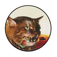 Guster - The Meowstro Sings: Keep It Together (limited edition picture disc vinyl)