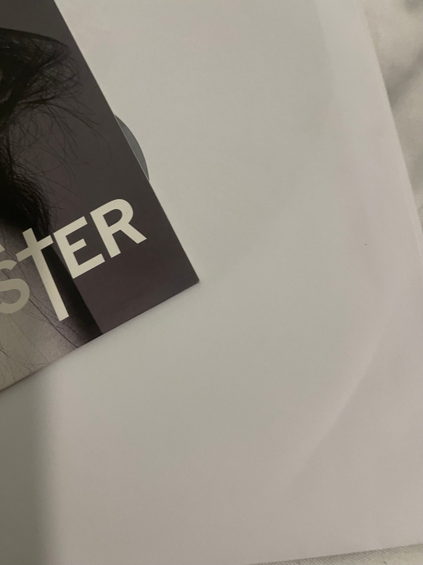 Lady Gaga - The Fame Monster (Urban Outfitters exclusive vinyl box set)