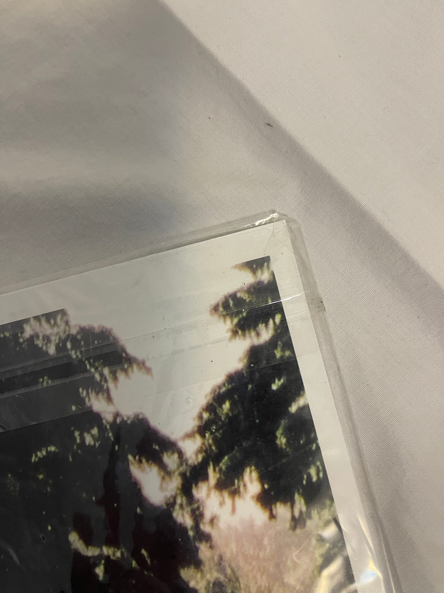 Taylor Swift - Christmas Tree Farm (Custom Sleeve ONLY)