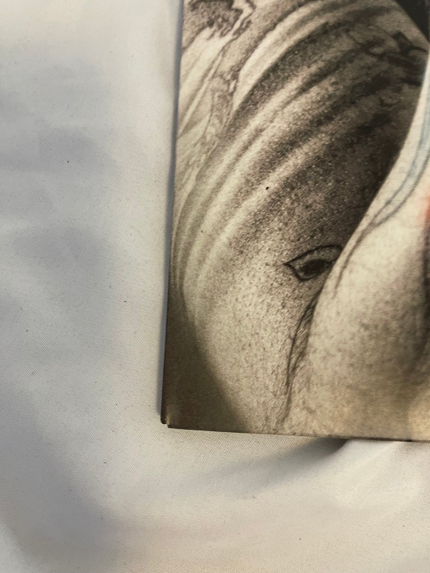 Grey Daze - The Phoenix (exclusive “Phoenix flame vinyl)