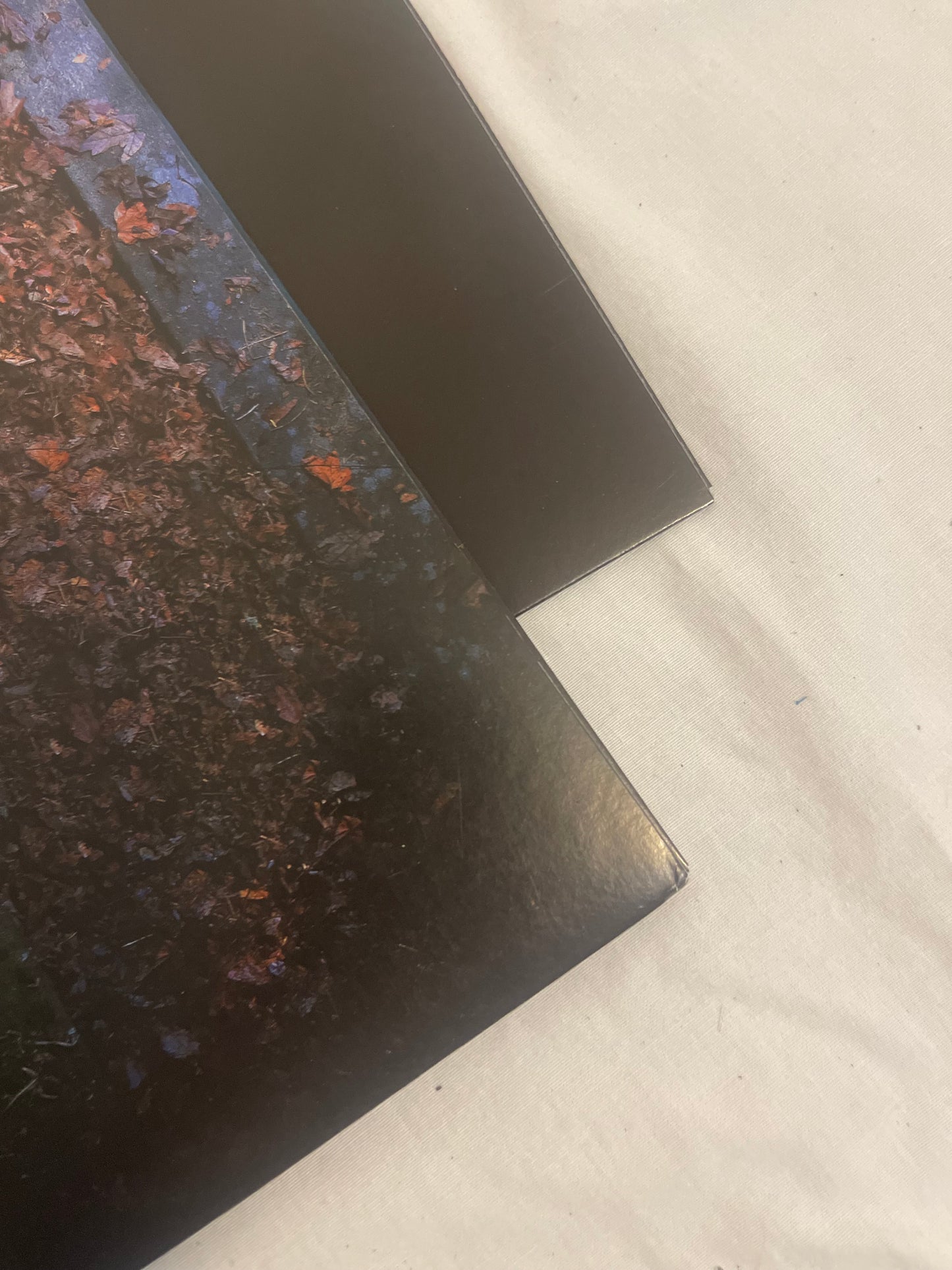 The Pretty Reckless - Death by Rock and Roll (exclusive black ice vinyl)