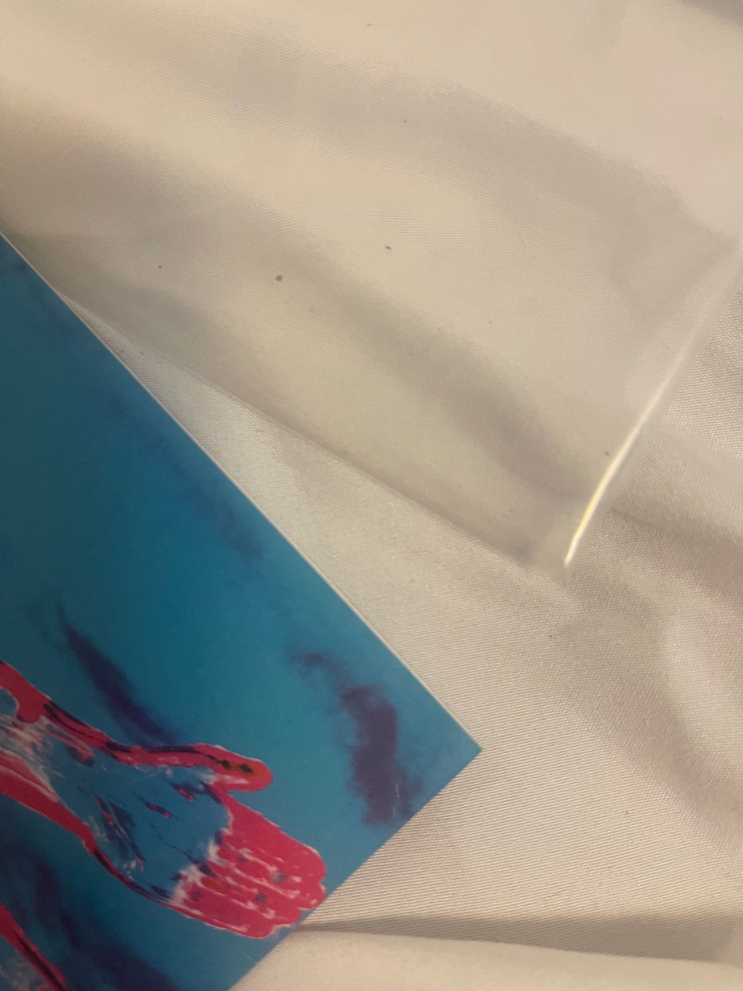 Nirvana - Sliver (Newbury Comics exclusive clear/pink split vinyl)