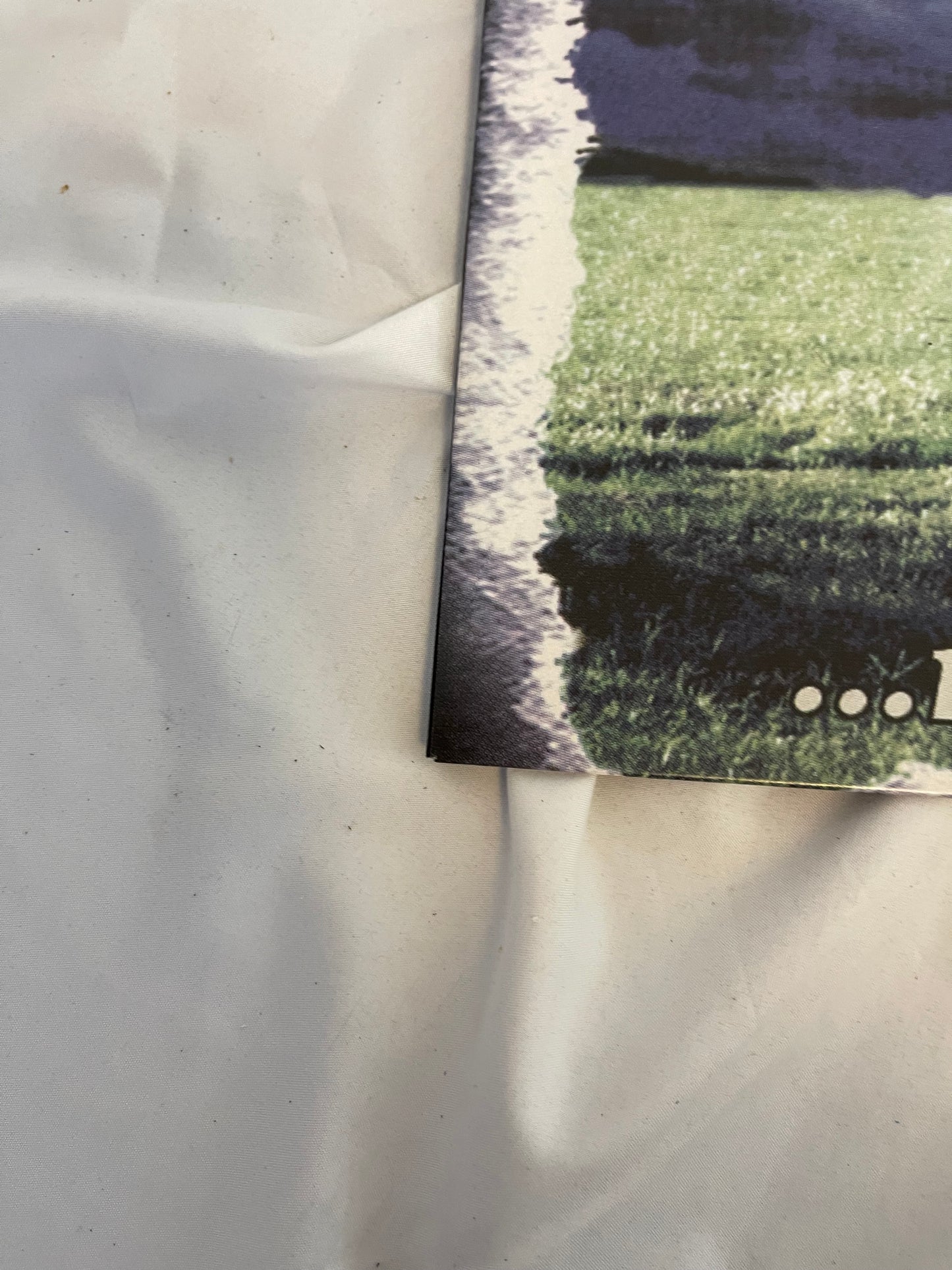 Grey Daze - …No Sun Today (webstore exclusive clear with purple smoke vinyl)