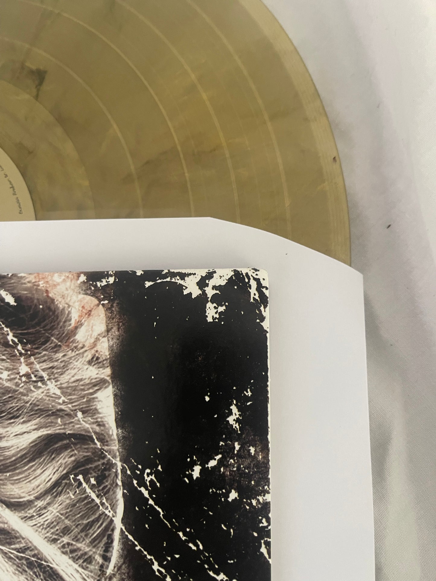 Kesha - Animal (Webstore exclusive clear with gold and black swirl vinyl)