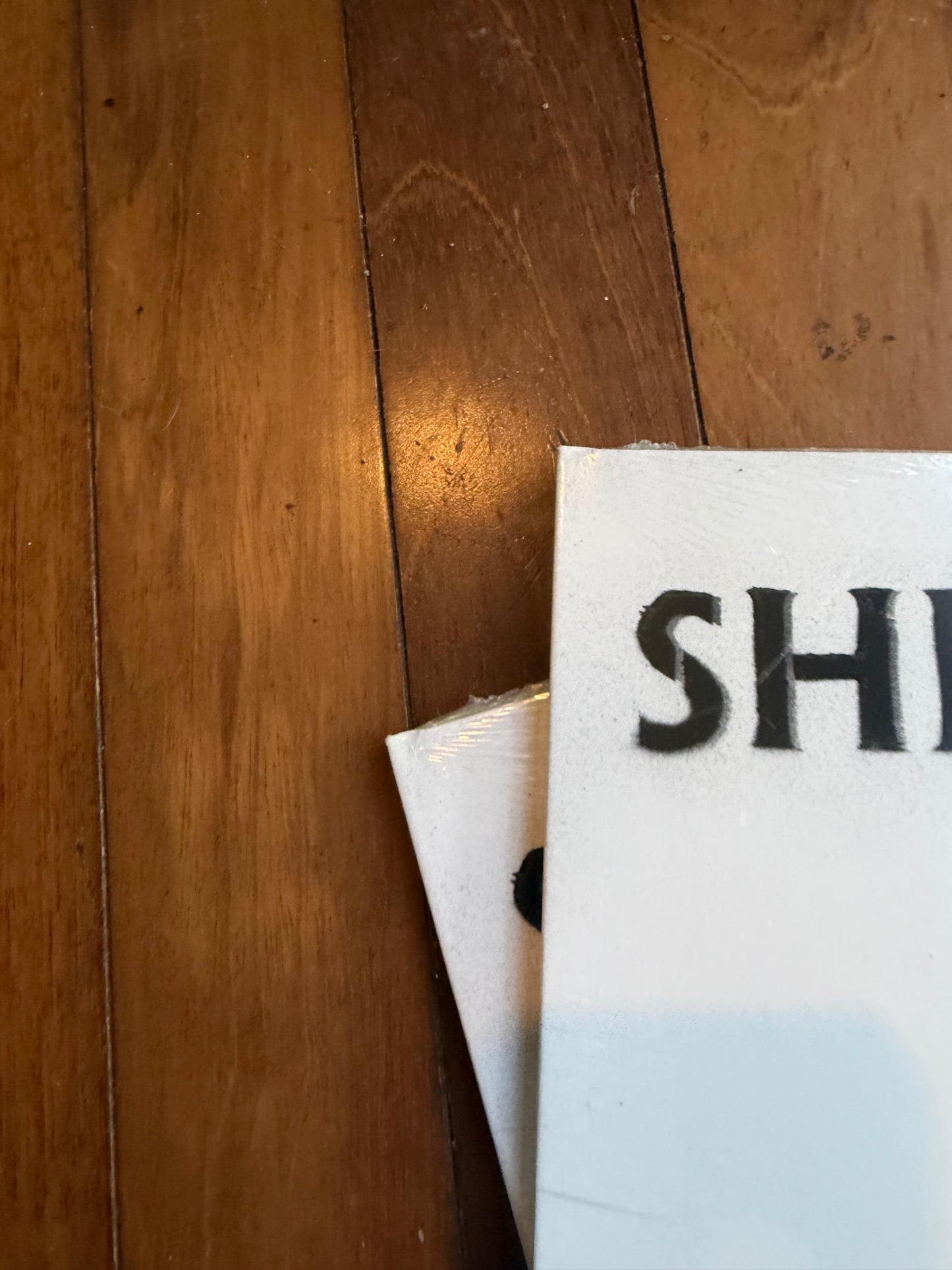 Shinedown - The Sound Of Madness (Walmart exclusive rainbow splatter vinyl)