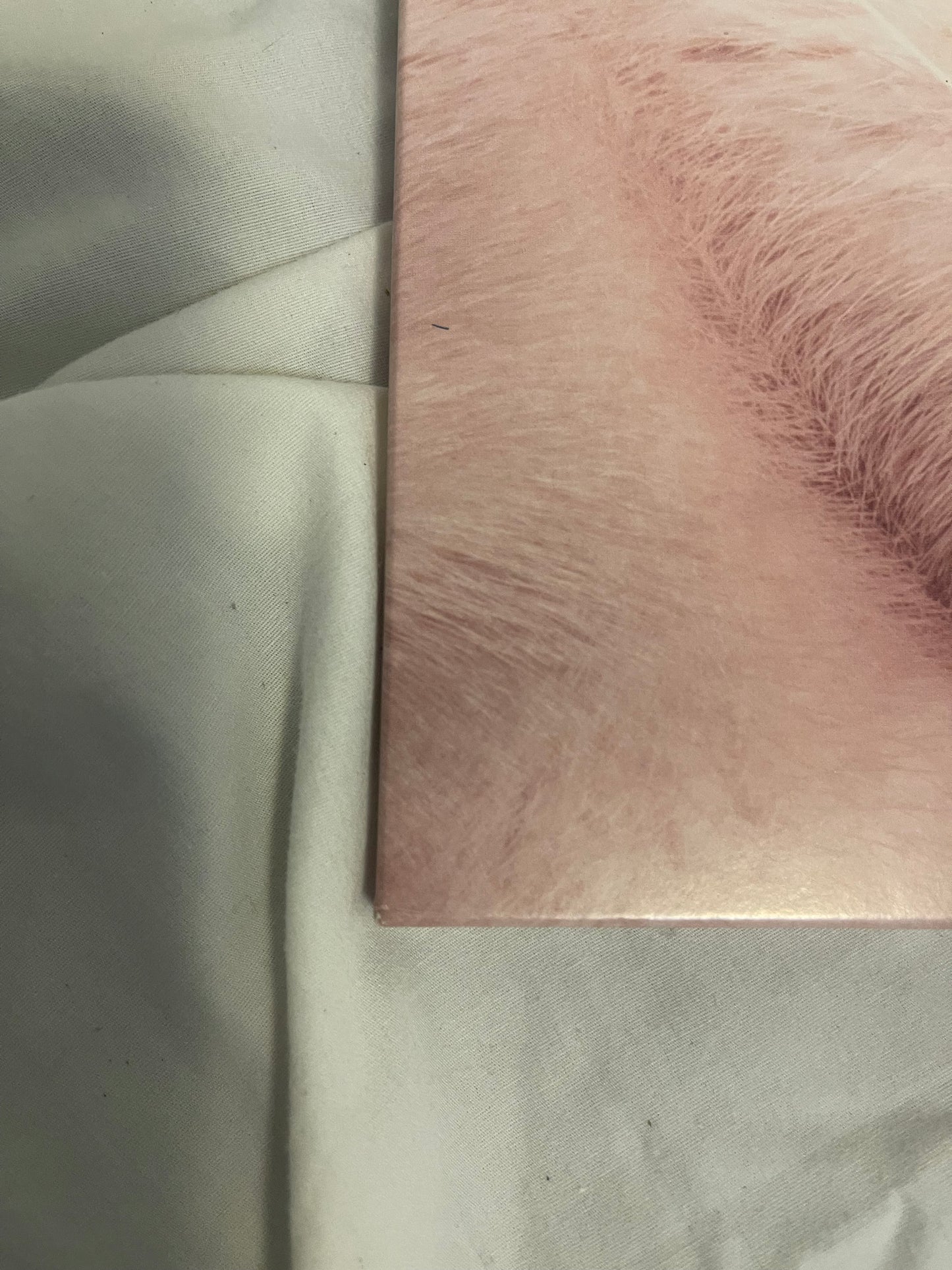 Melanie Martinez - Cry Baby (exclusive baby pink and baby blue vinyl)