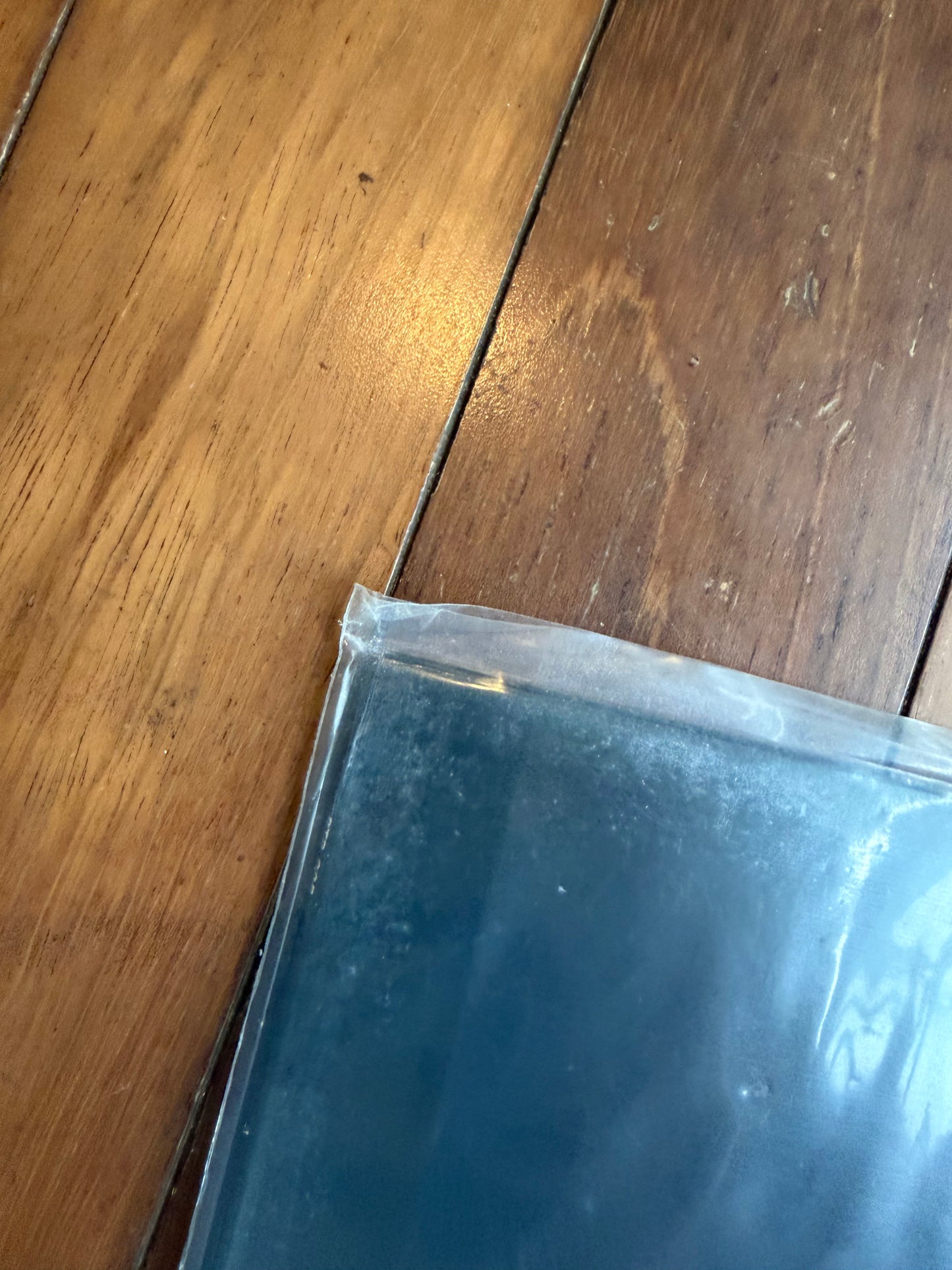 Mansions - New Best Friends (exclusive cloudy clear vinyl)