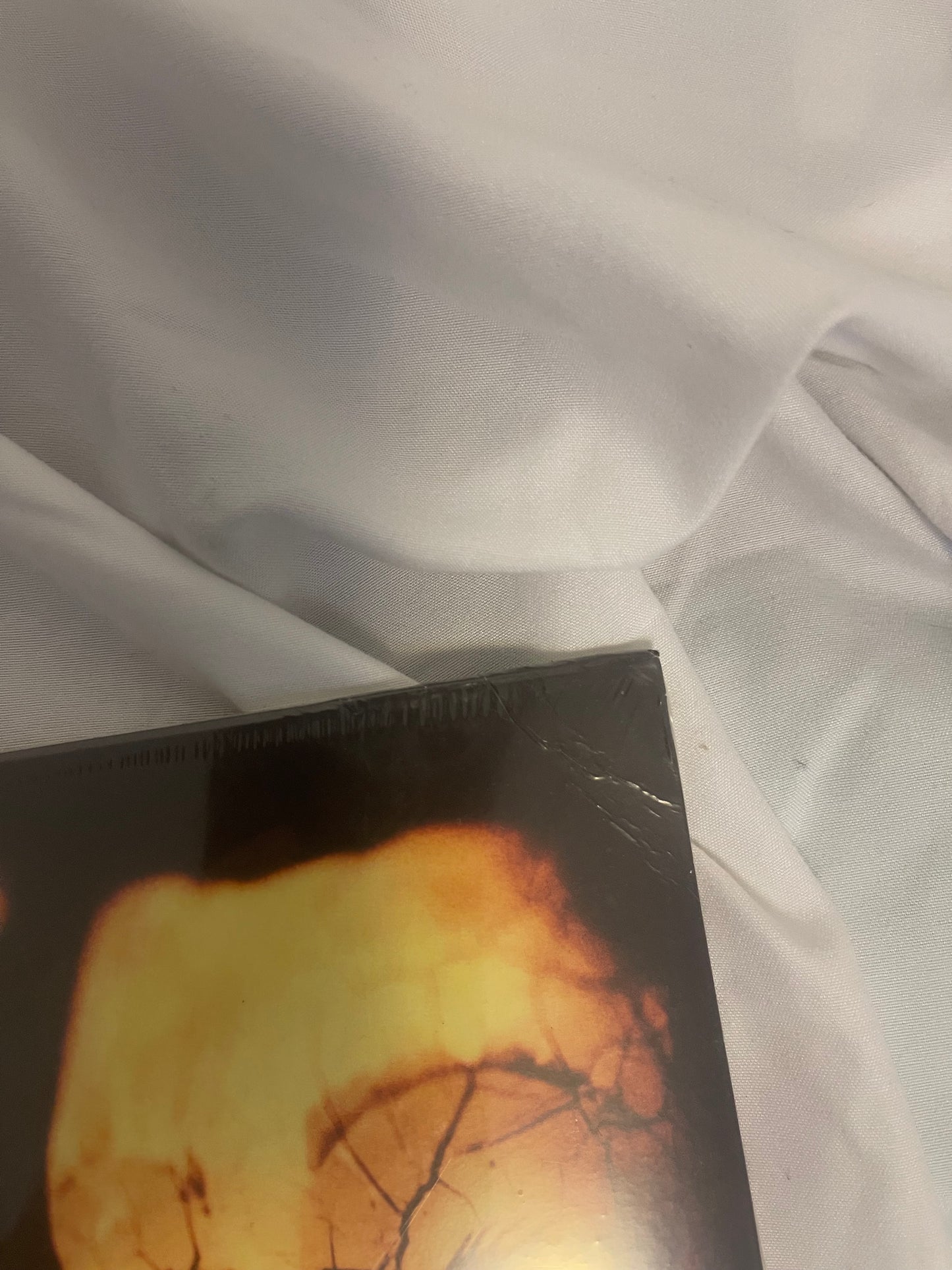 The Used - The Used (Webstore Exclusive Oxblood inside Milky Clear vinyl)