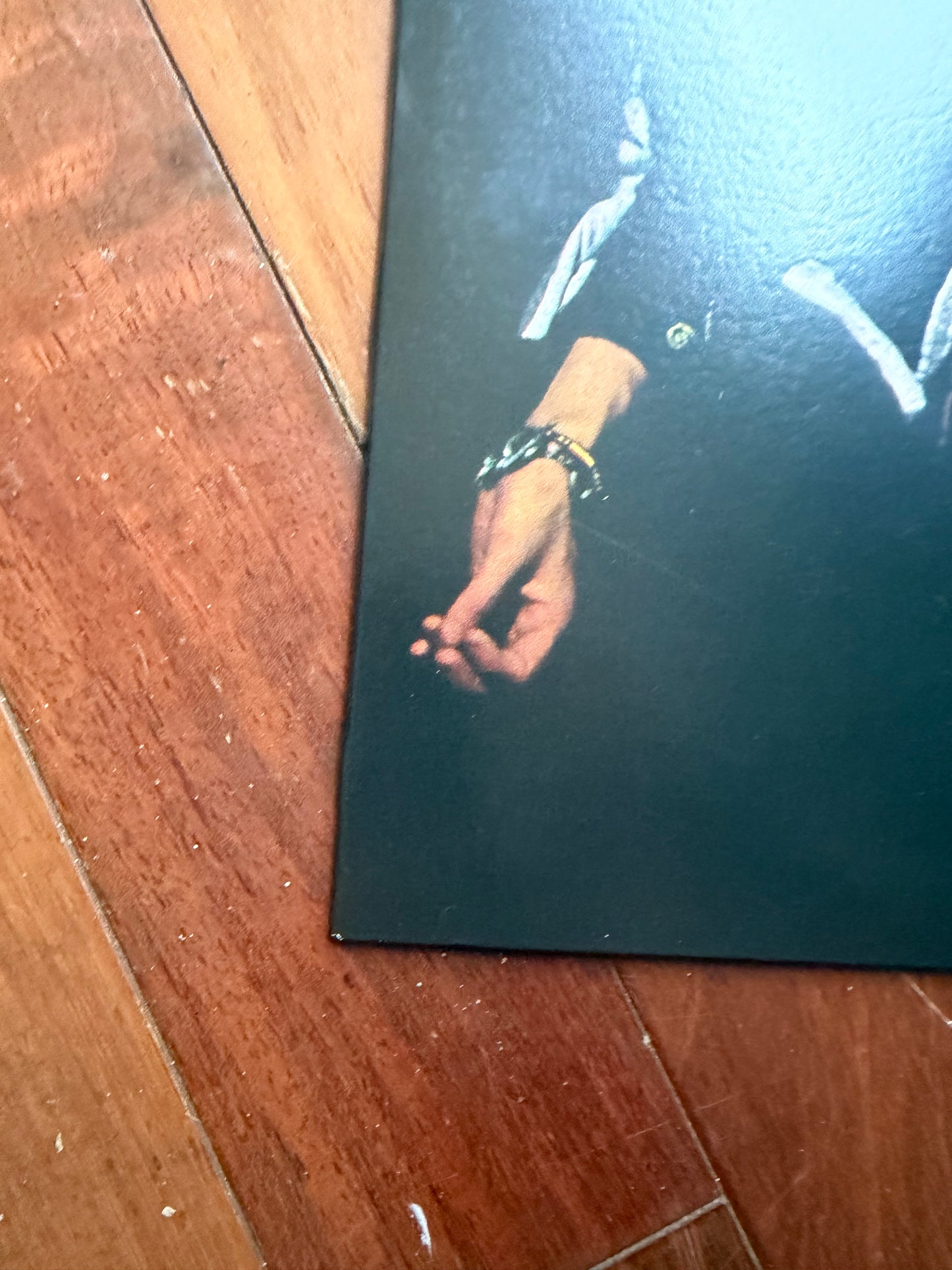 The Black Crowes - Shake Your Money Maker (Walmart exclusive money green vinyl)