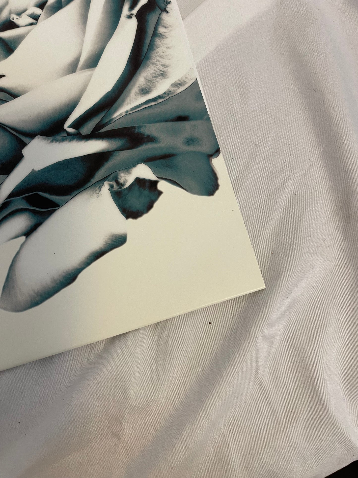 Grey Daze - Amends… Stripped (webstore exclusive grey vinyl)