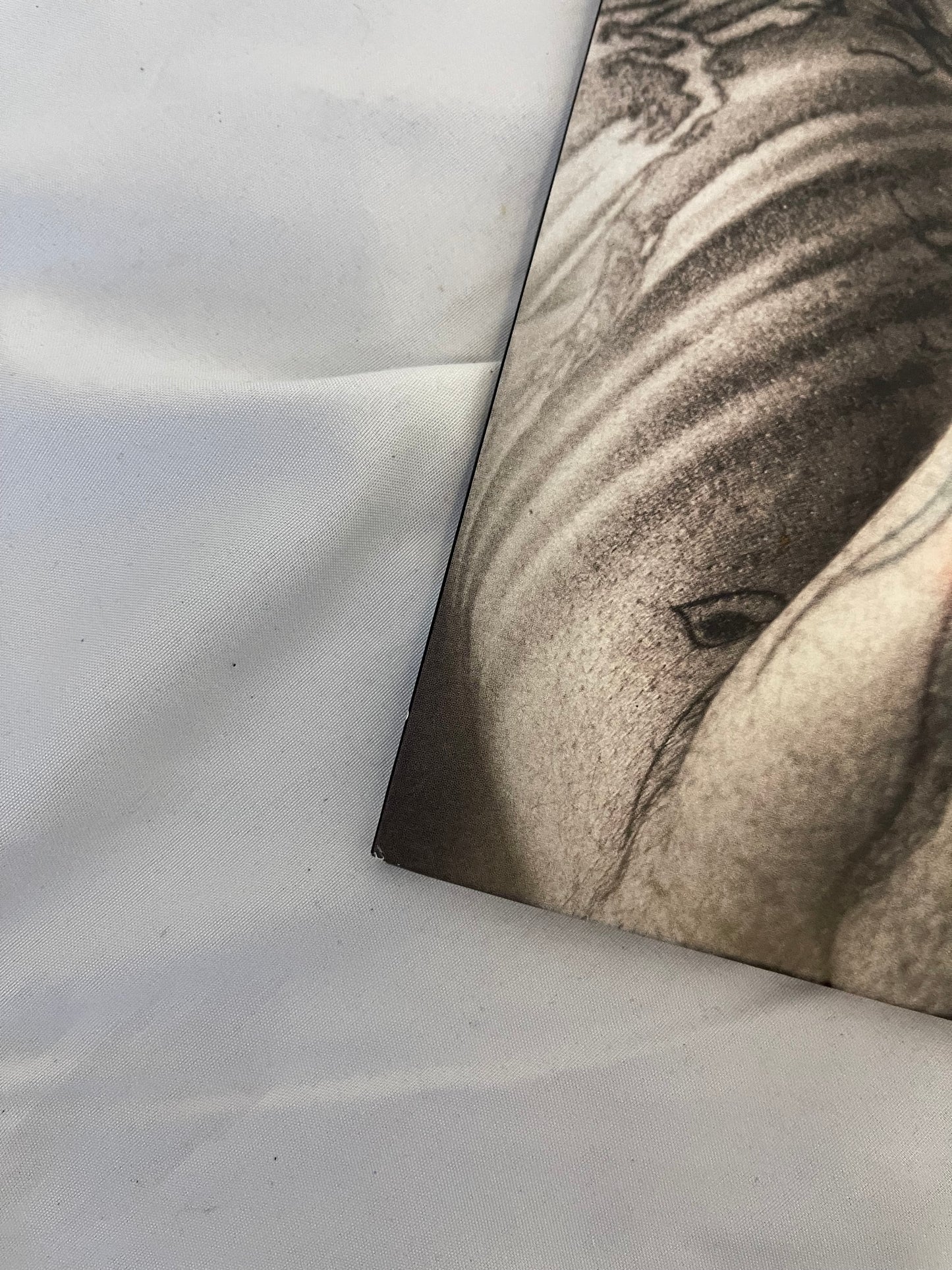 Grey Daze - The Phoenix (limited edition grey smoke vinyl)