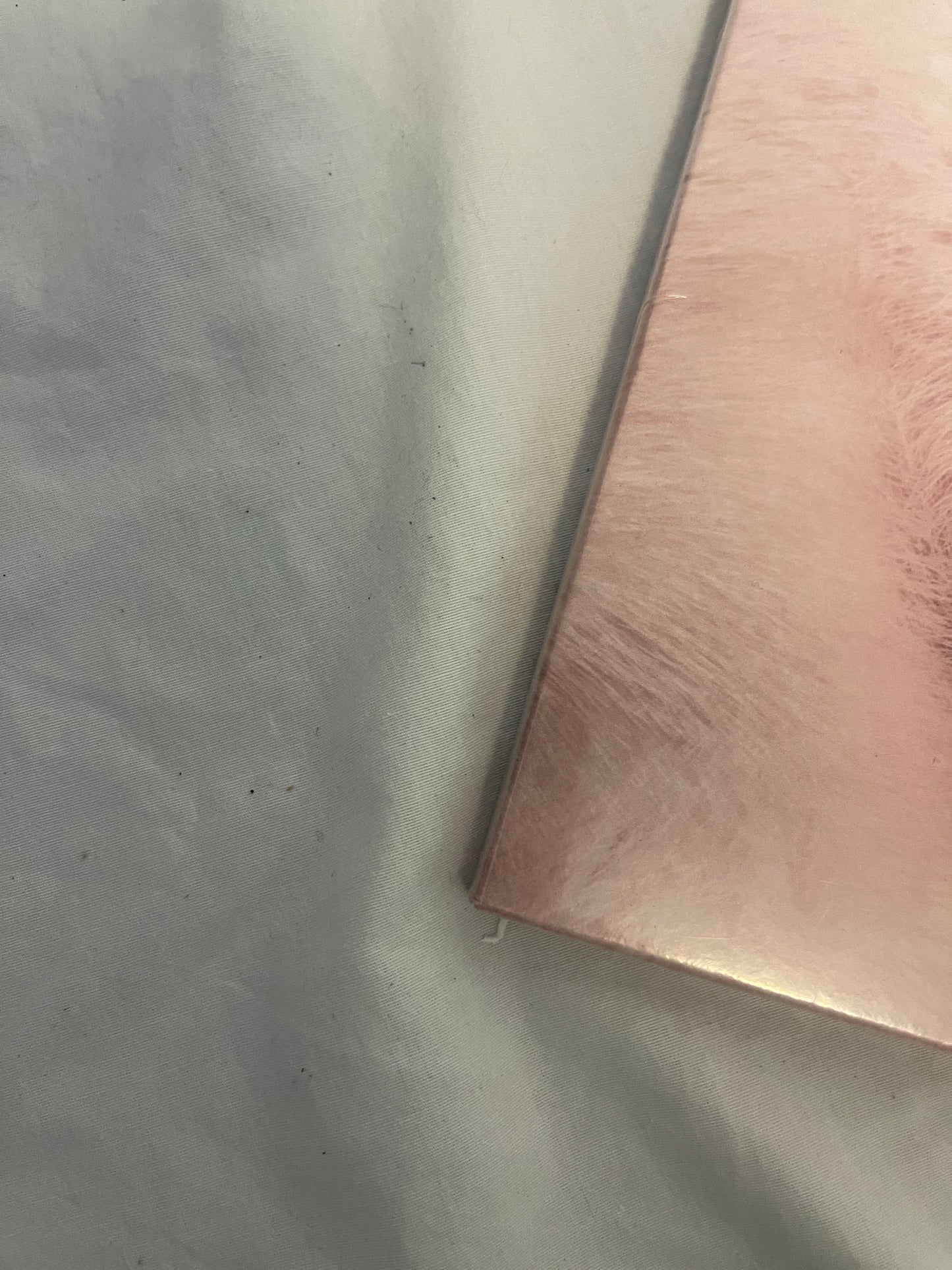 Melanie Martinez - Cry Baby (exclusive baby pink and baby blue vinyl)