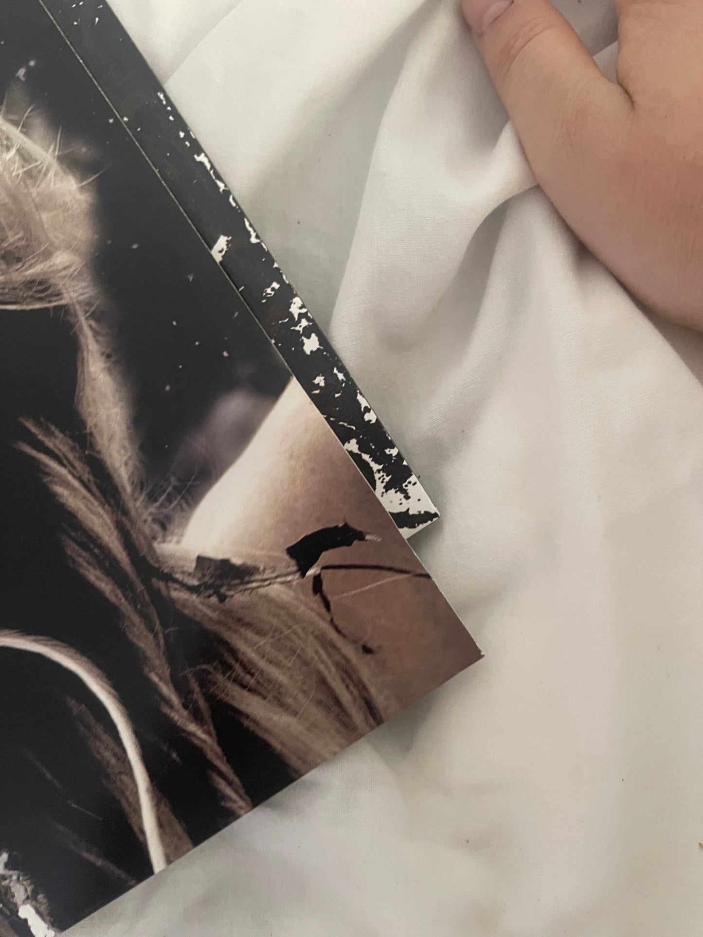 Kesha - Cannibal (Urban Outfitters exclusive red marble vinyl)