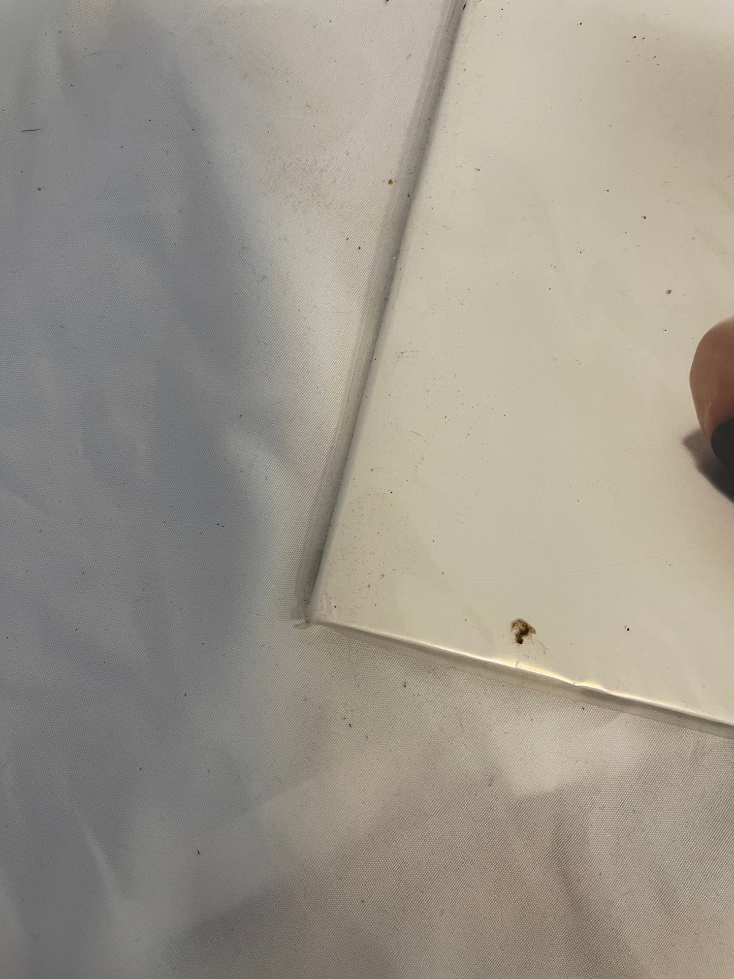 Poppy - Zig (Newbury comics exclusive mint green and white blended vinyl)