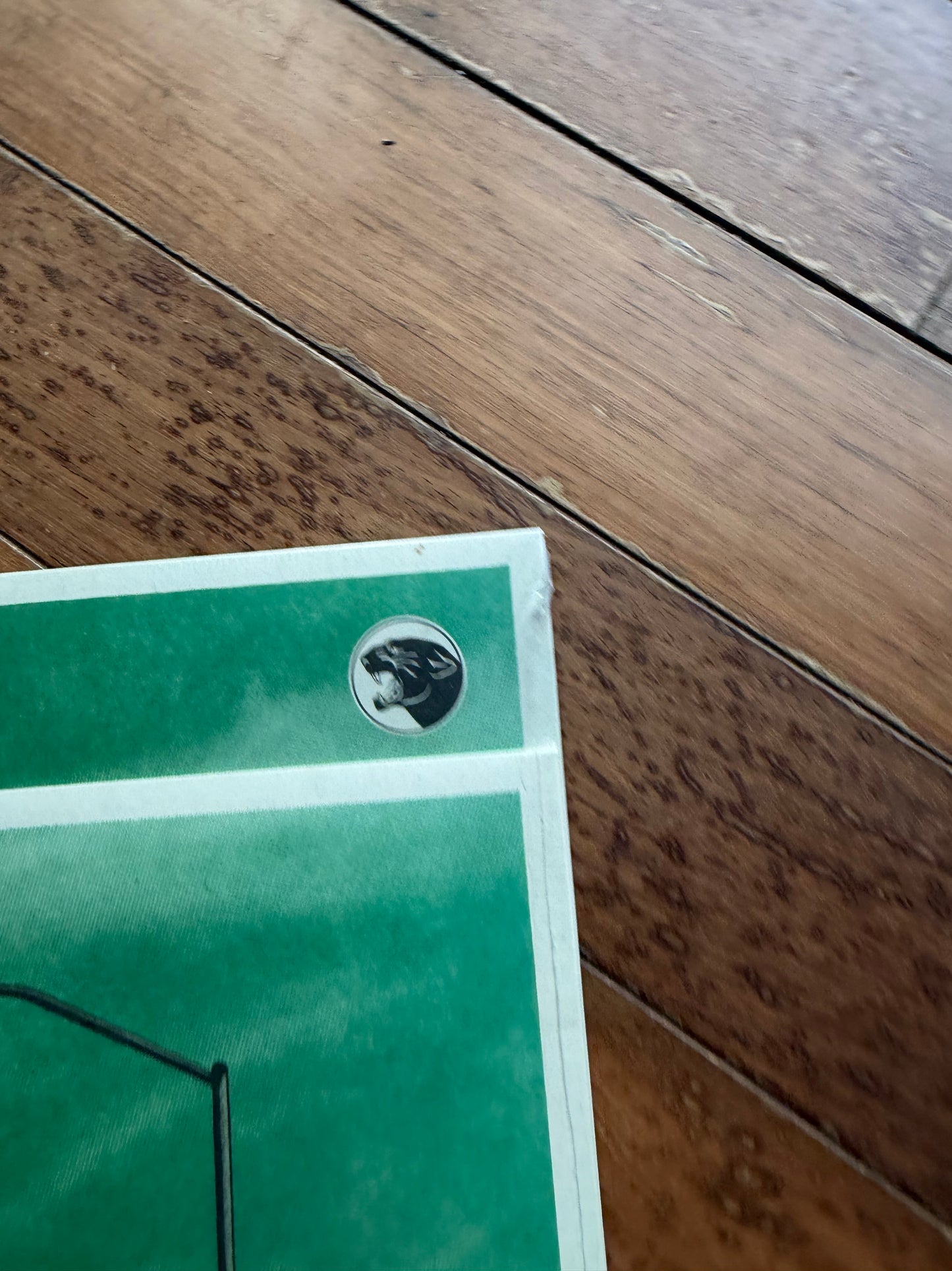 Taking Back Sunday - Tell All Your Friends (tour exclusive forest green vinyl)