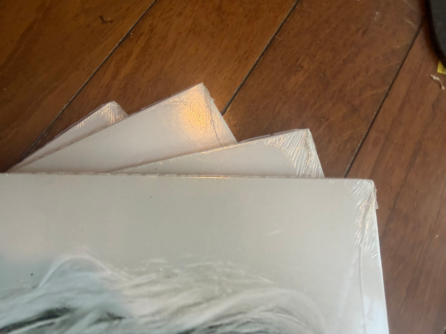 Charlotte Lawrence - Charlotte (Urban Outfitters exclusive Milky Clear vinyl)
