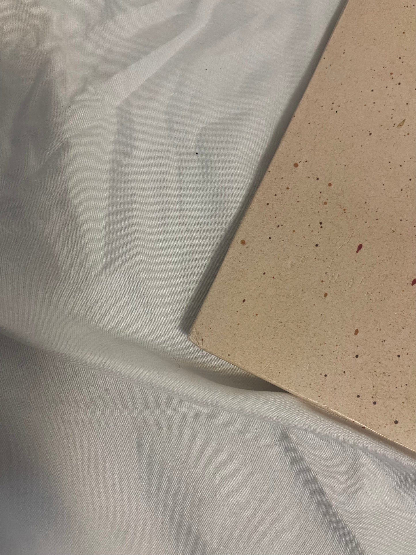 Fleetwood Mac - Tusk (Walmart exclusive silver vinyl)