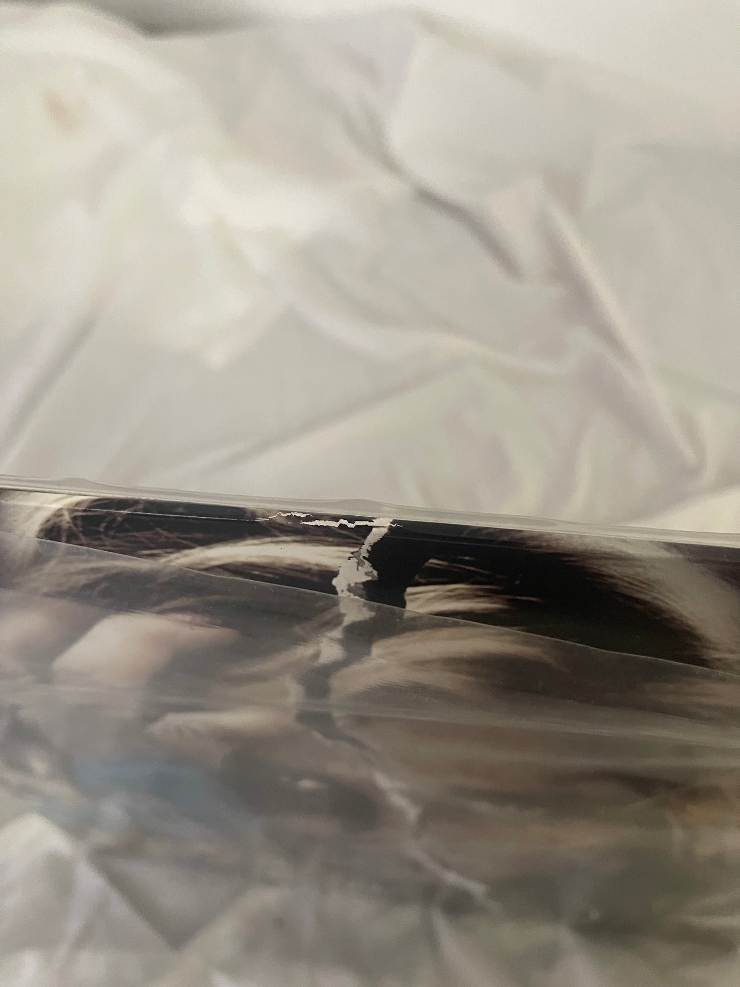 Kesha - Cannibal (Webstore exclusive turquoise marble vinyl)