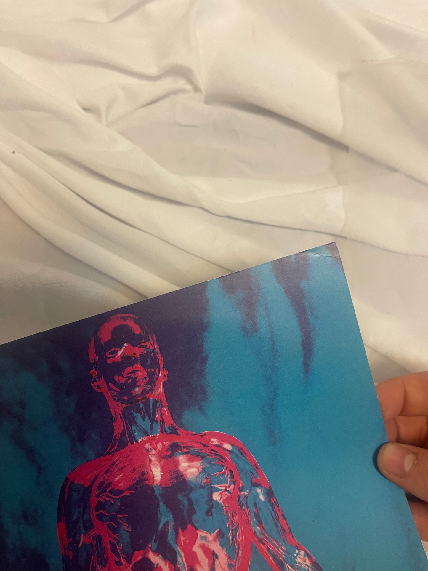Nirvana - Sliver (Newbury Comics exclusive clear/blue split vinyl)