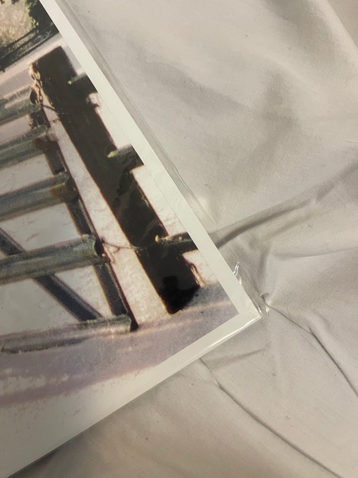 Taylor Swift - Christmas Tree Farm (Custom Sleeve ONLY)