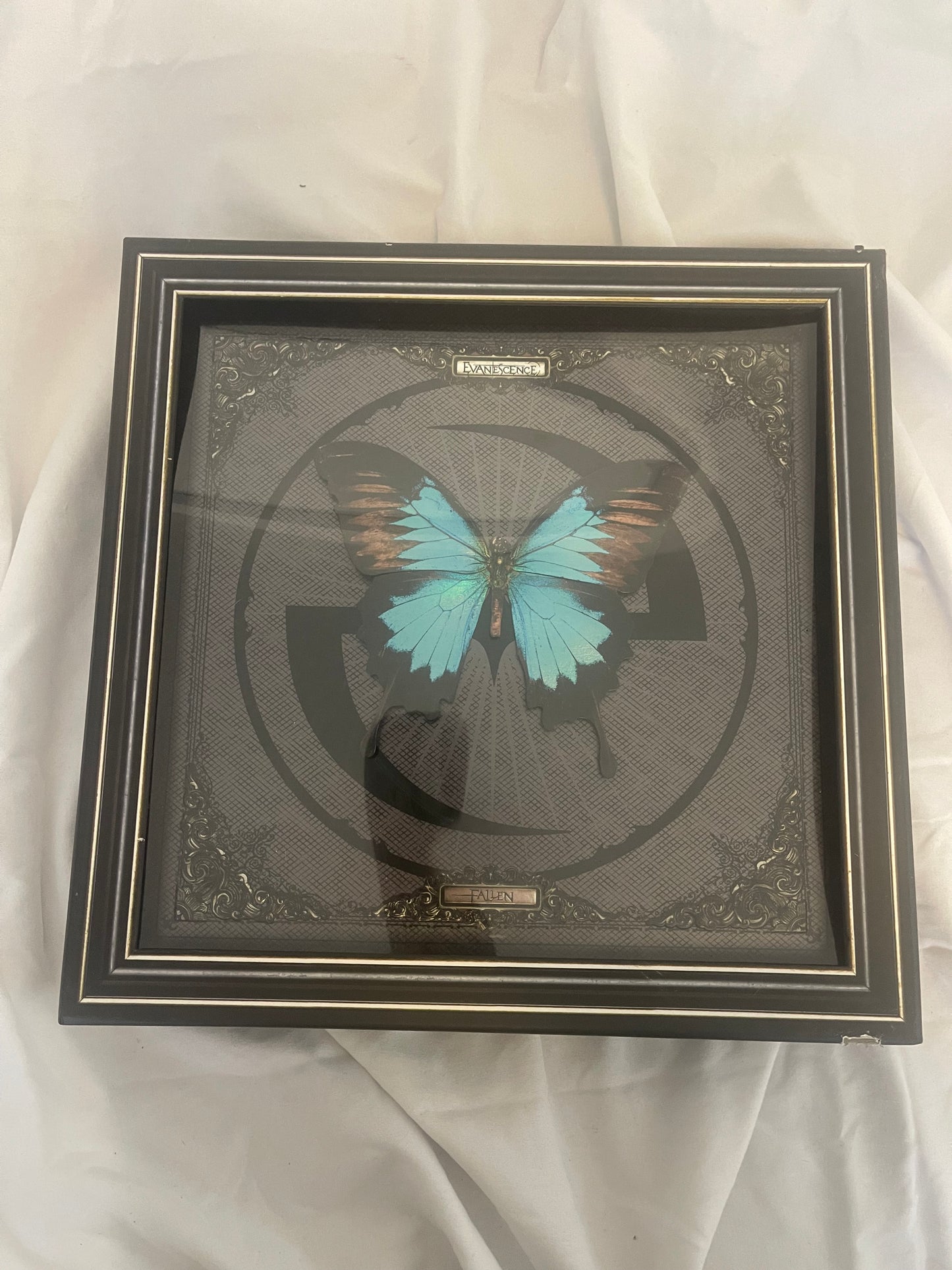 Evanescence - Fallen (webstore exclusive 20th anniversary vinyl/cassette box set)