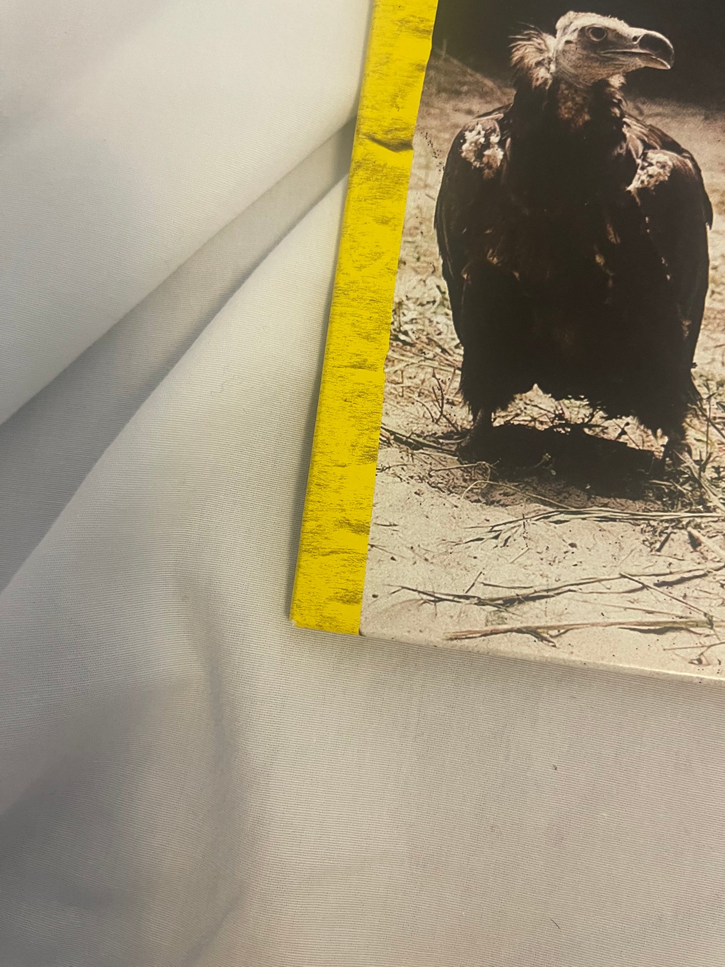 Twenty One Pilots - Trench Triplet EP (webstore exclusive translucent yellow vinyl)