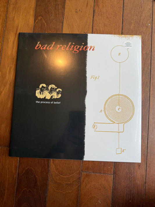 Bad Religion - The Process Of Belief (exclusive 20th anniversary orange/black galaxy vinyl)