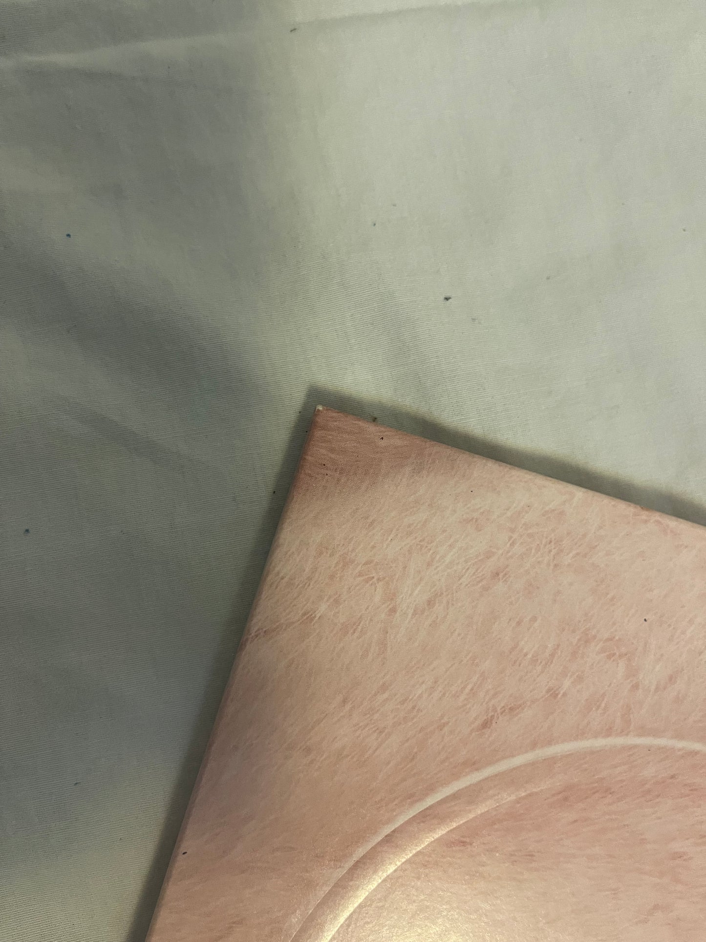 Melanie Martinez - Cry Baby (exclusive baby pink and baby blue vinyl)