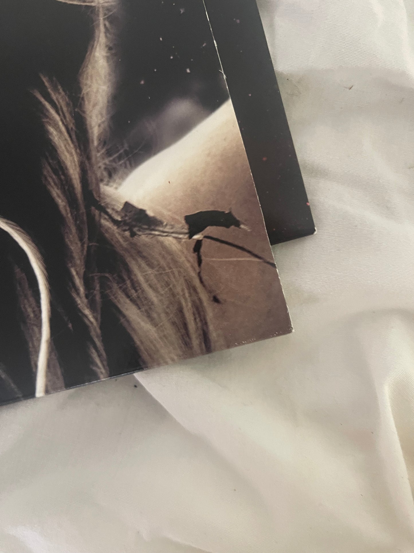 Kesha - Cannibal (Webstore exclusive turquoise marble vinyl)