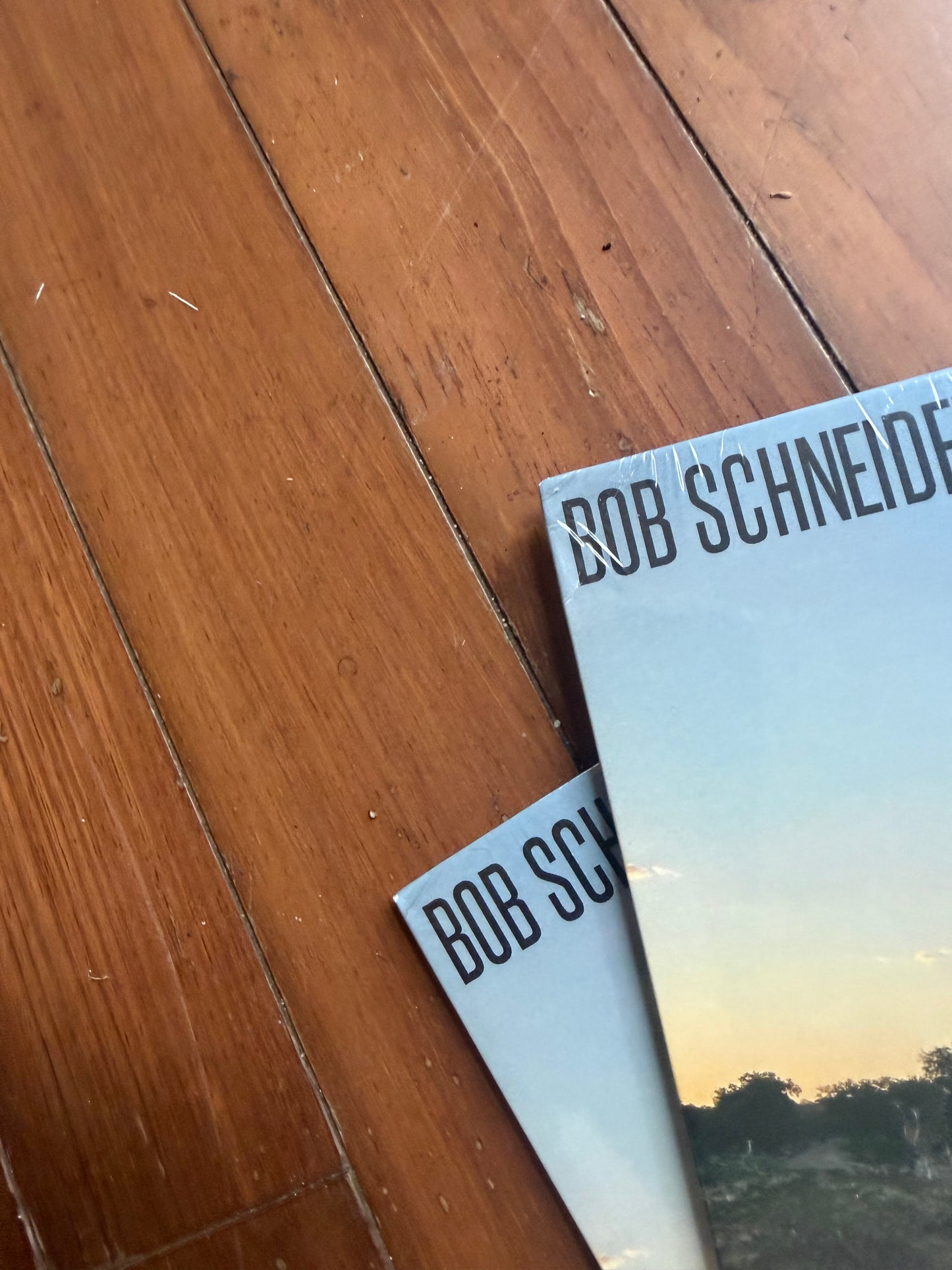 Bob Schneider - In A Roomful Of Blood With A Sleeping Tiger (exclusive butterbean white vinyl)