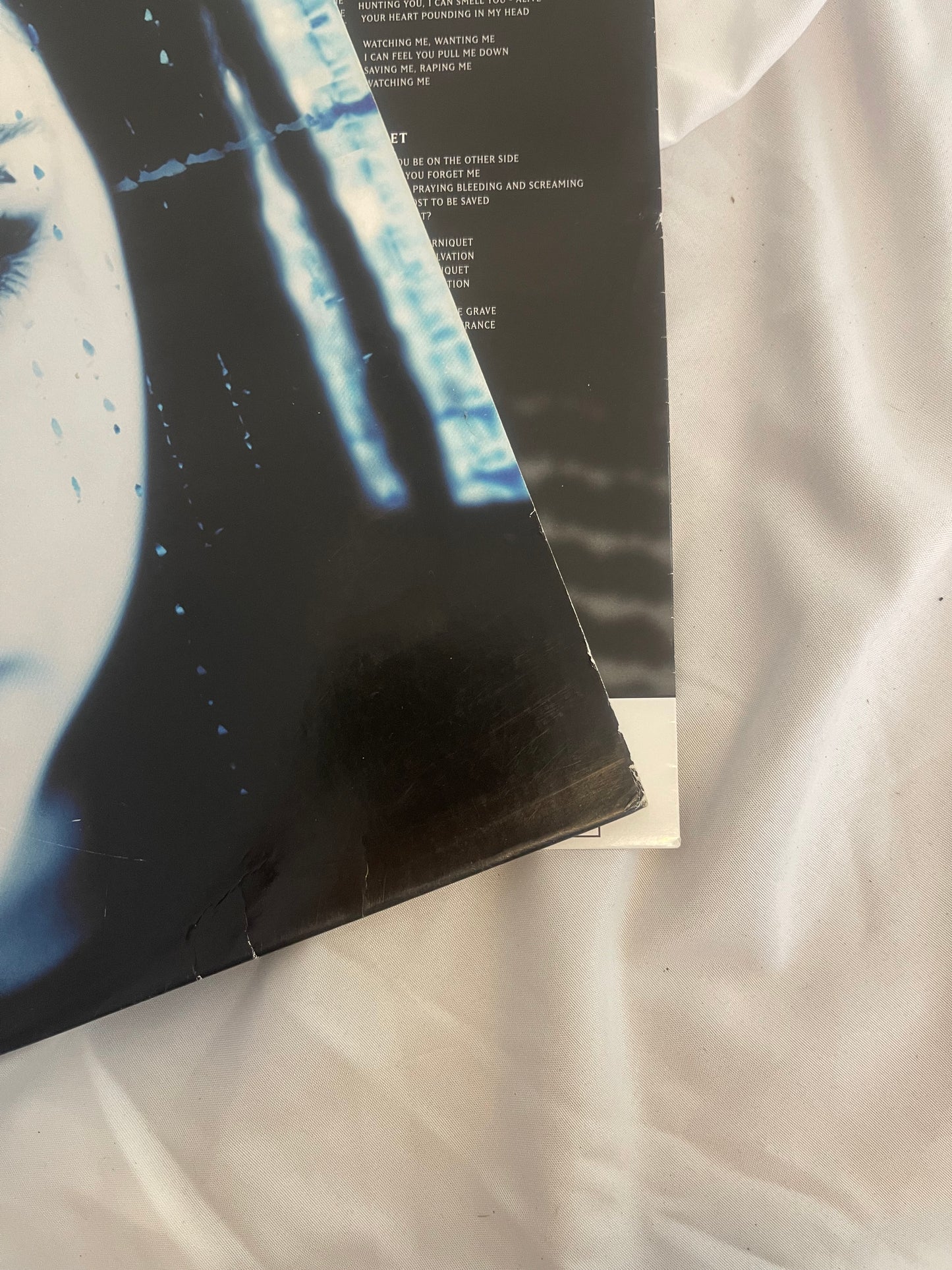 Evanescence - Fallen (Target exclusive silver vinyl)
