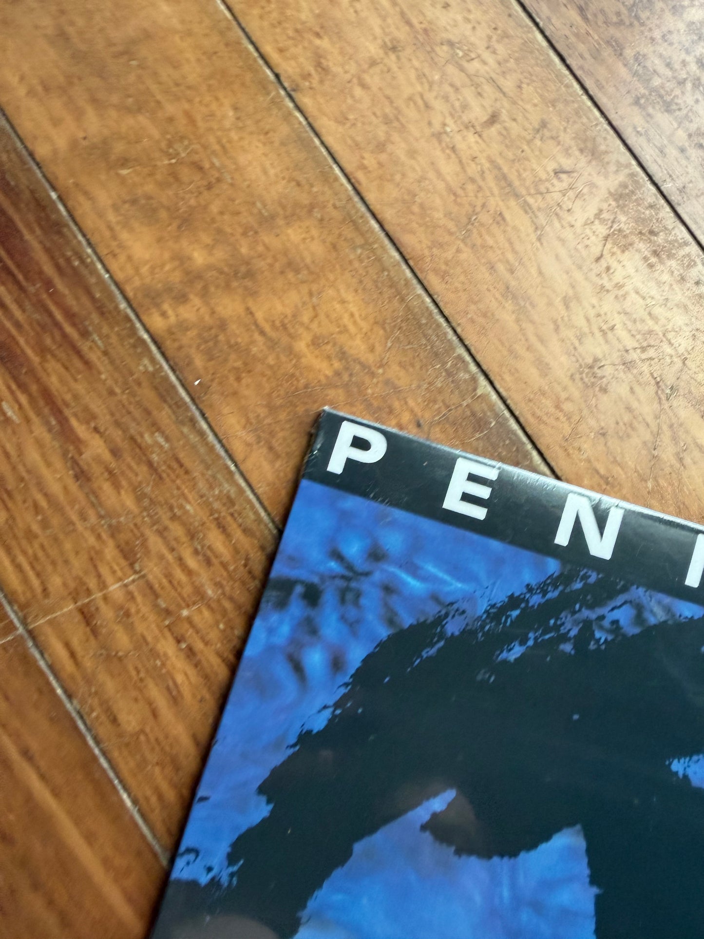 Pennywise - Pennywise (newbury comics exclusive blue with black splatter vinyl)