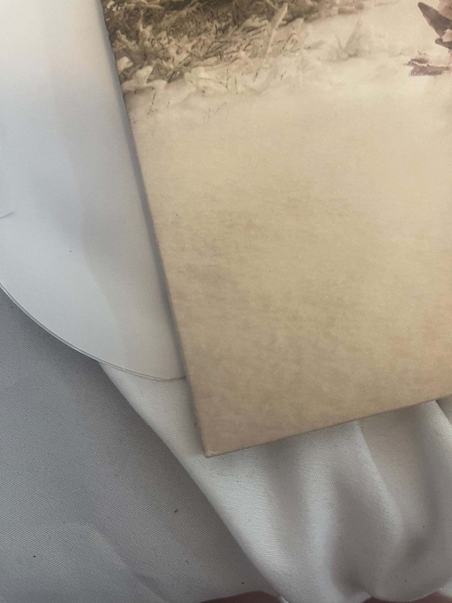 Soundgarden - King Animal (35th anniversary white and buttercream vinyl)