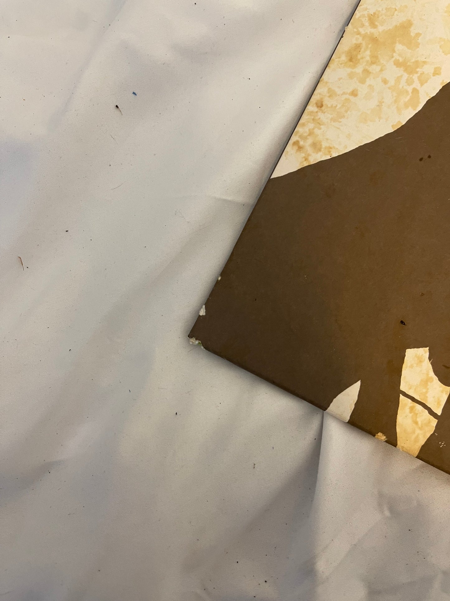 The Format - Dog Problems (Urban Outfitters exclusive Magenta vinyl)