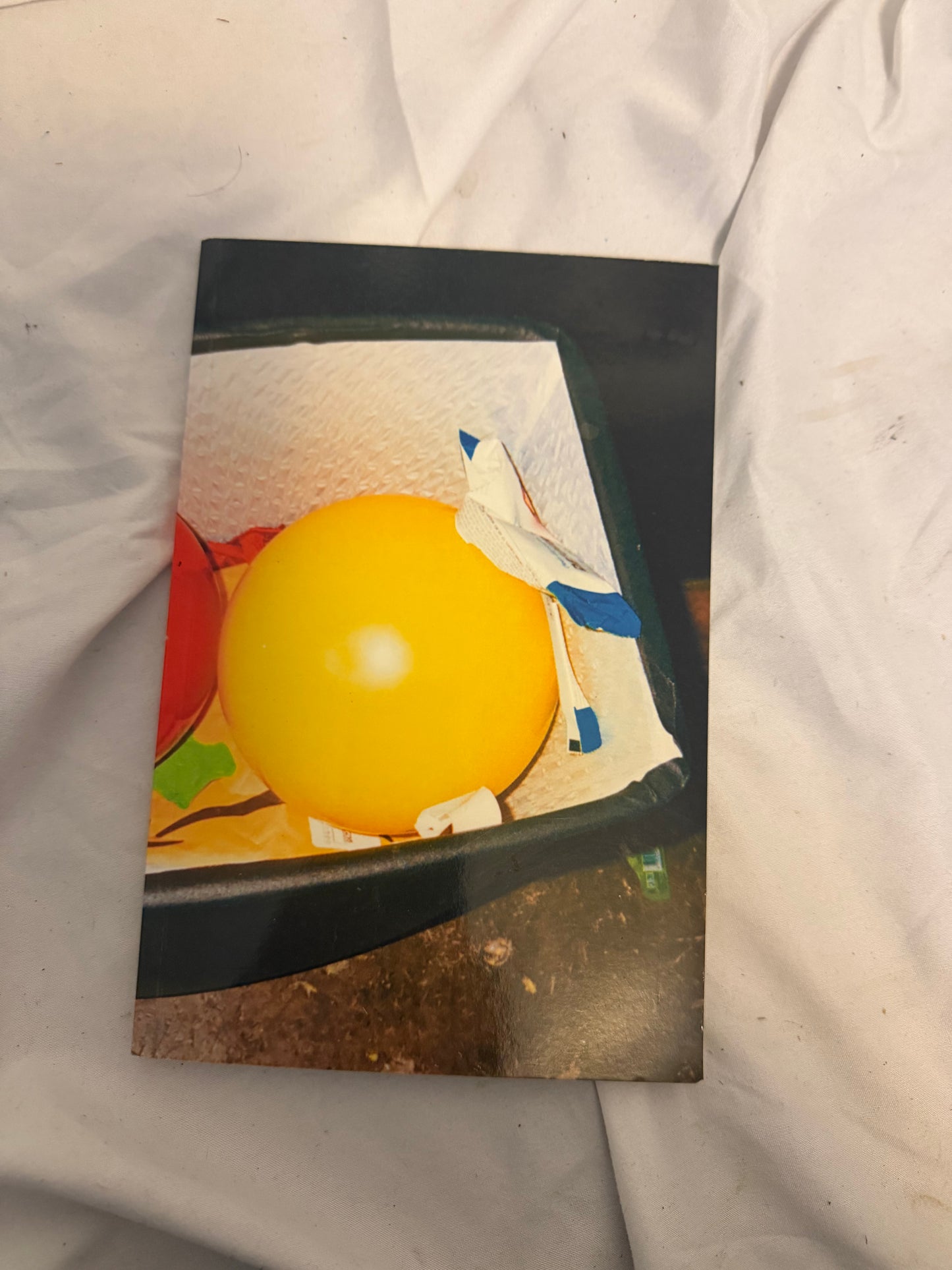 Paramore Photo Book After Laughter Era
