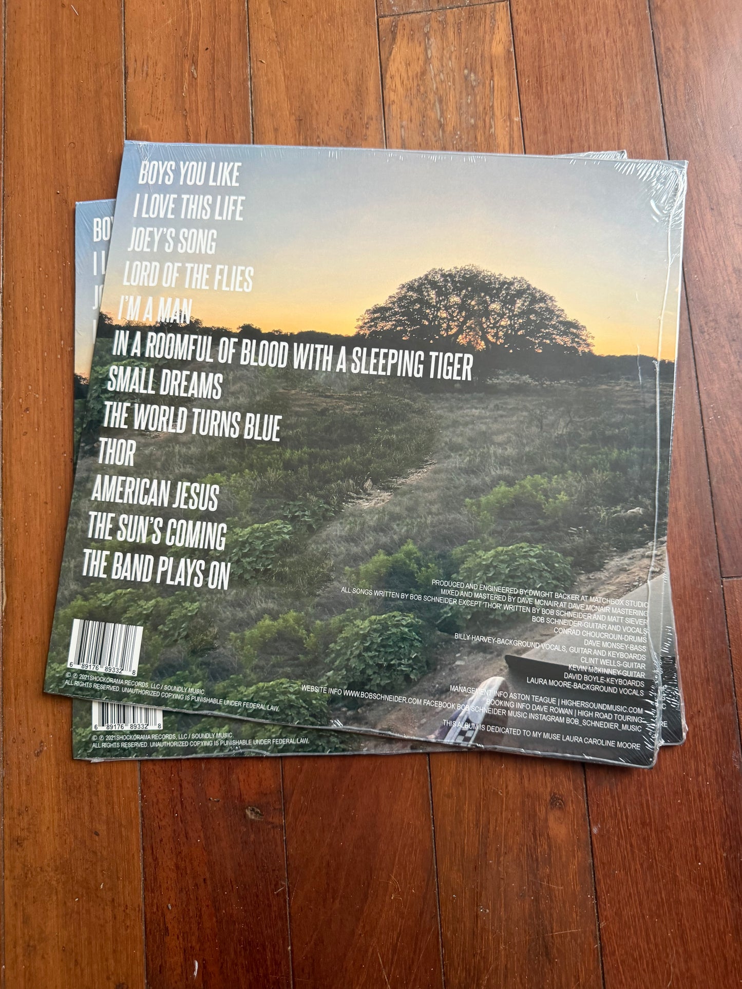 Bob Schneider - In A Roomful Of Blood With A Sleeping Tiger (exclusive butterbean white vinyl)
