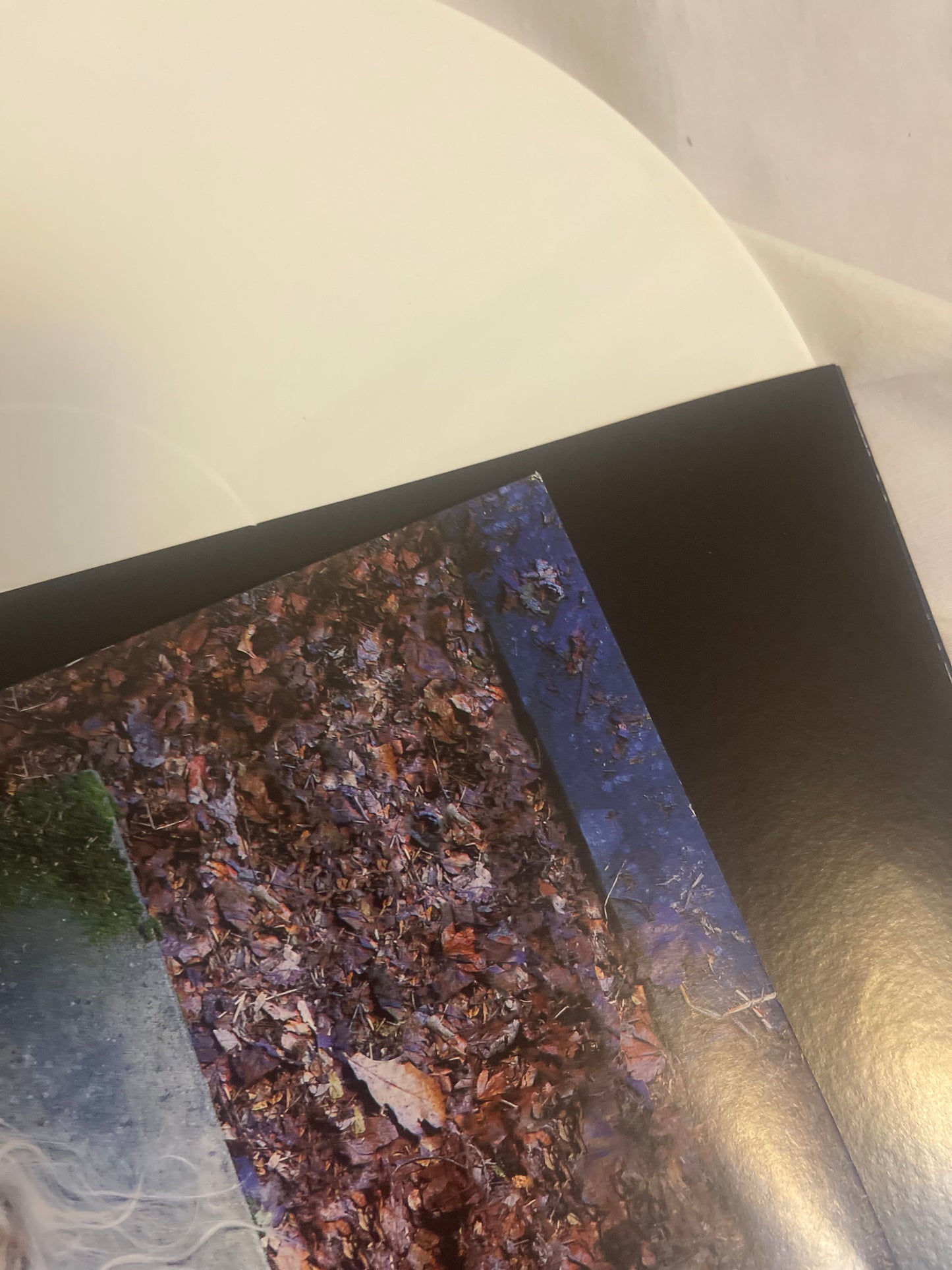 The Pretty Reckless - Death by Rock and Roll (webstore exclusive white vinyl)