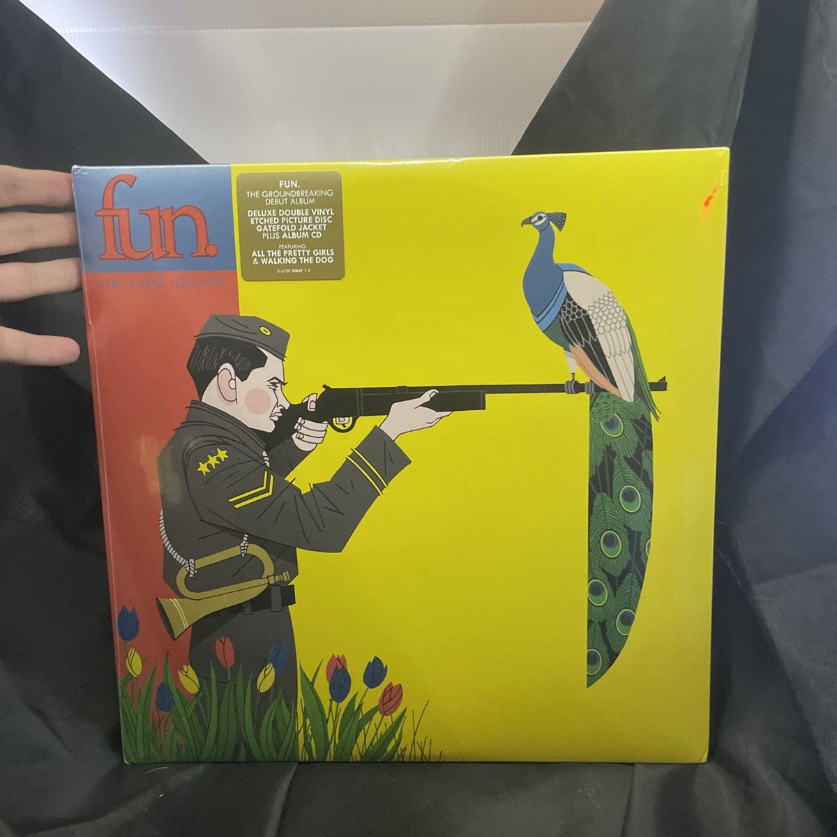 fun. - Aim And Ignite (standard black with D-side etching vinyl)