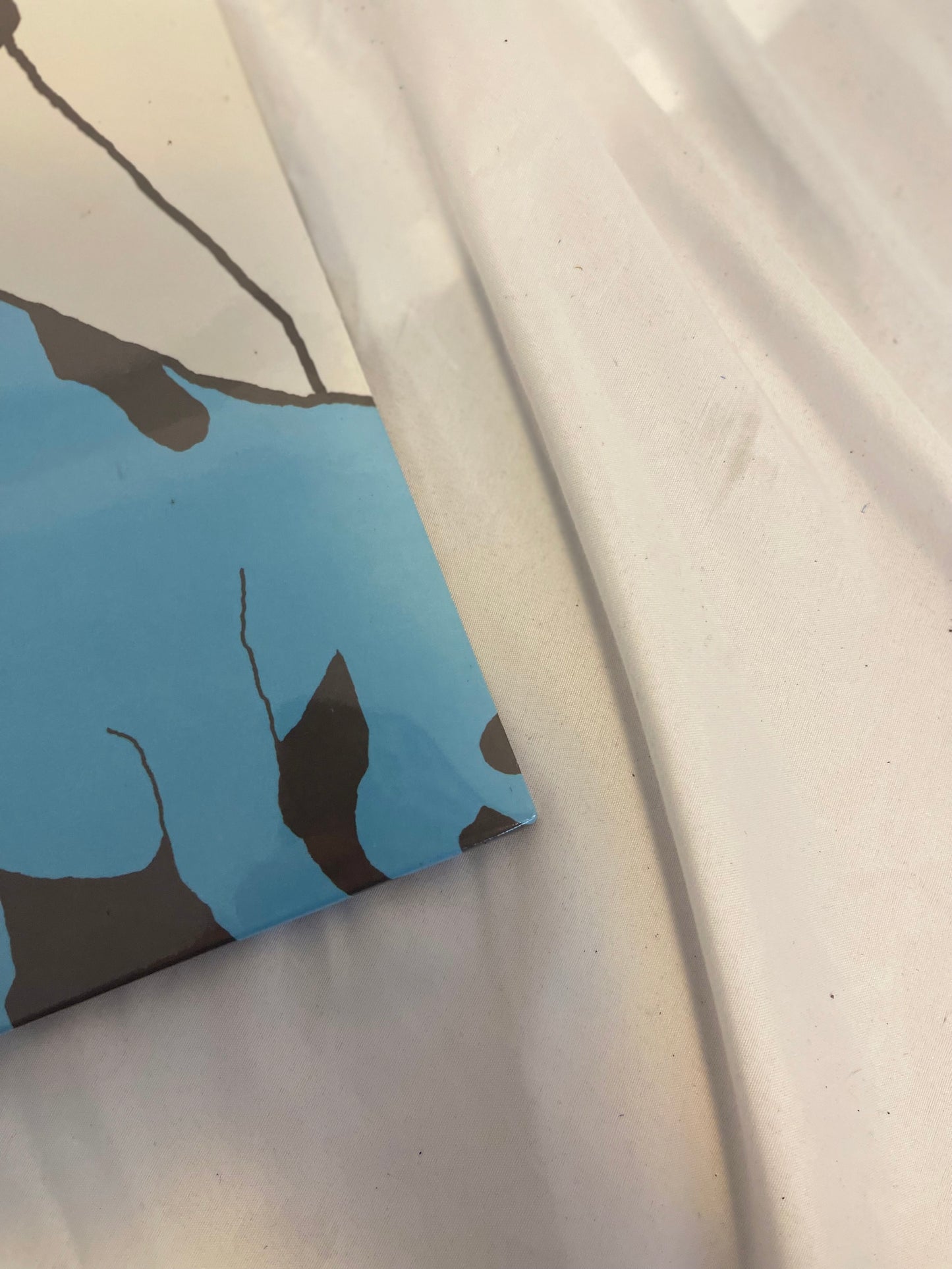 The Format - Dog Problems (vinyl me please exclusive Kelly green vinyl)