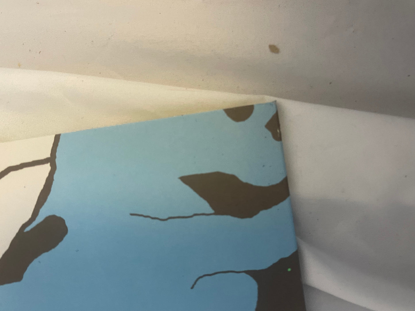 The Format - Dog Problems (milky clear vinyl)