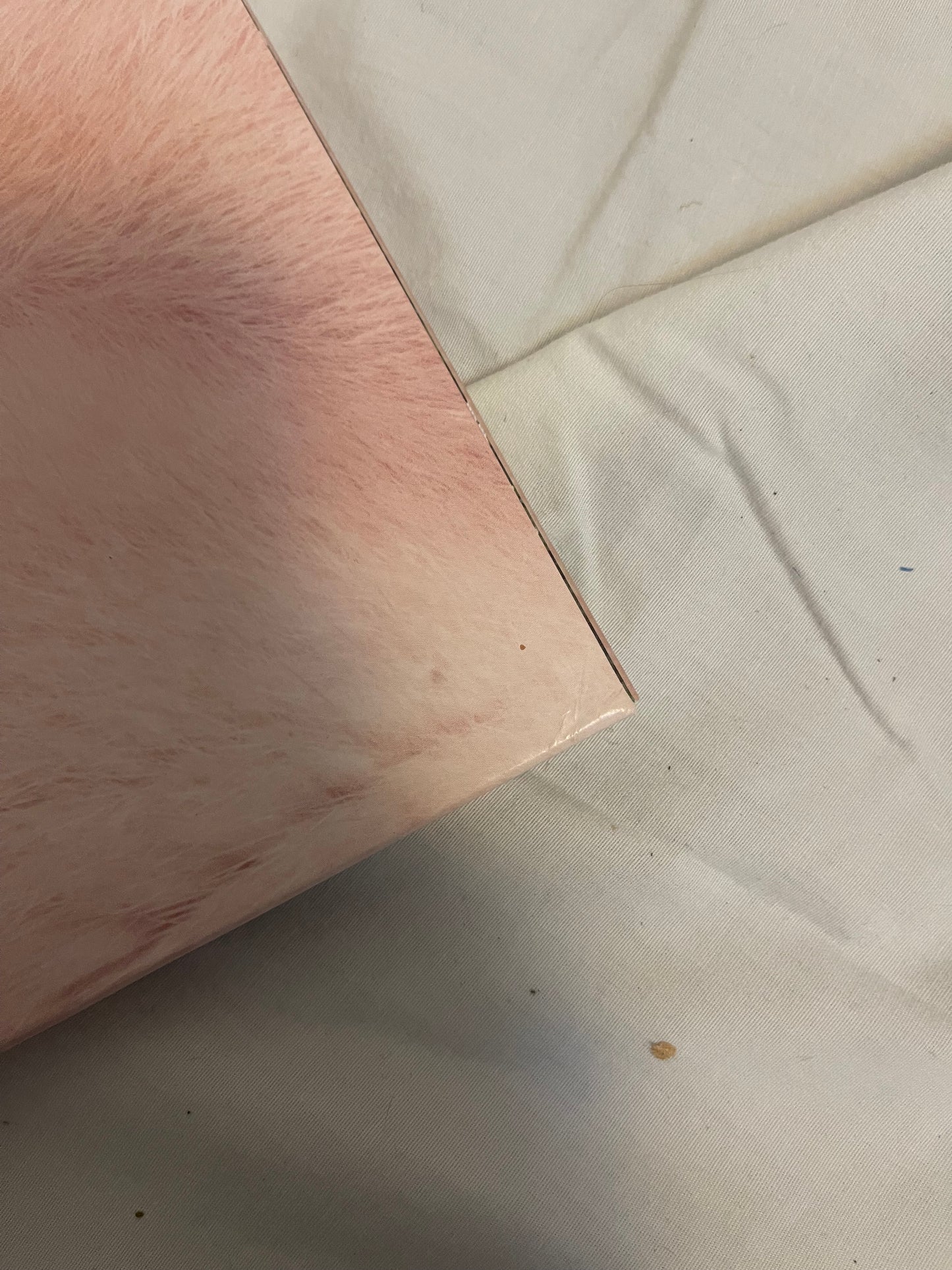 Melanie Martinez - Cry Baby (exclusive baby pink and baby blue vinyl)