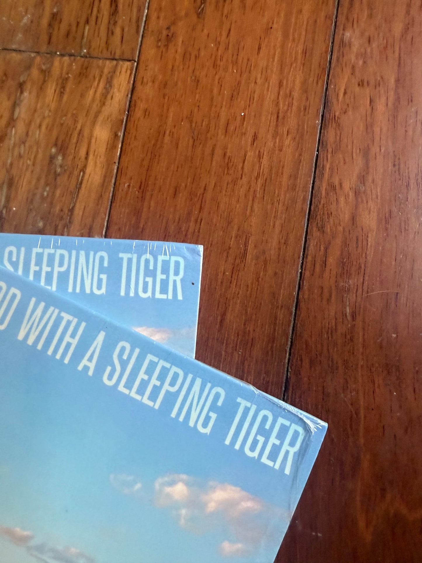 Bob Schneider - In A Roomful Of Blood With A Sleeping Tiger (exclusive butterbean white vinyl)
